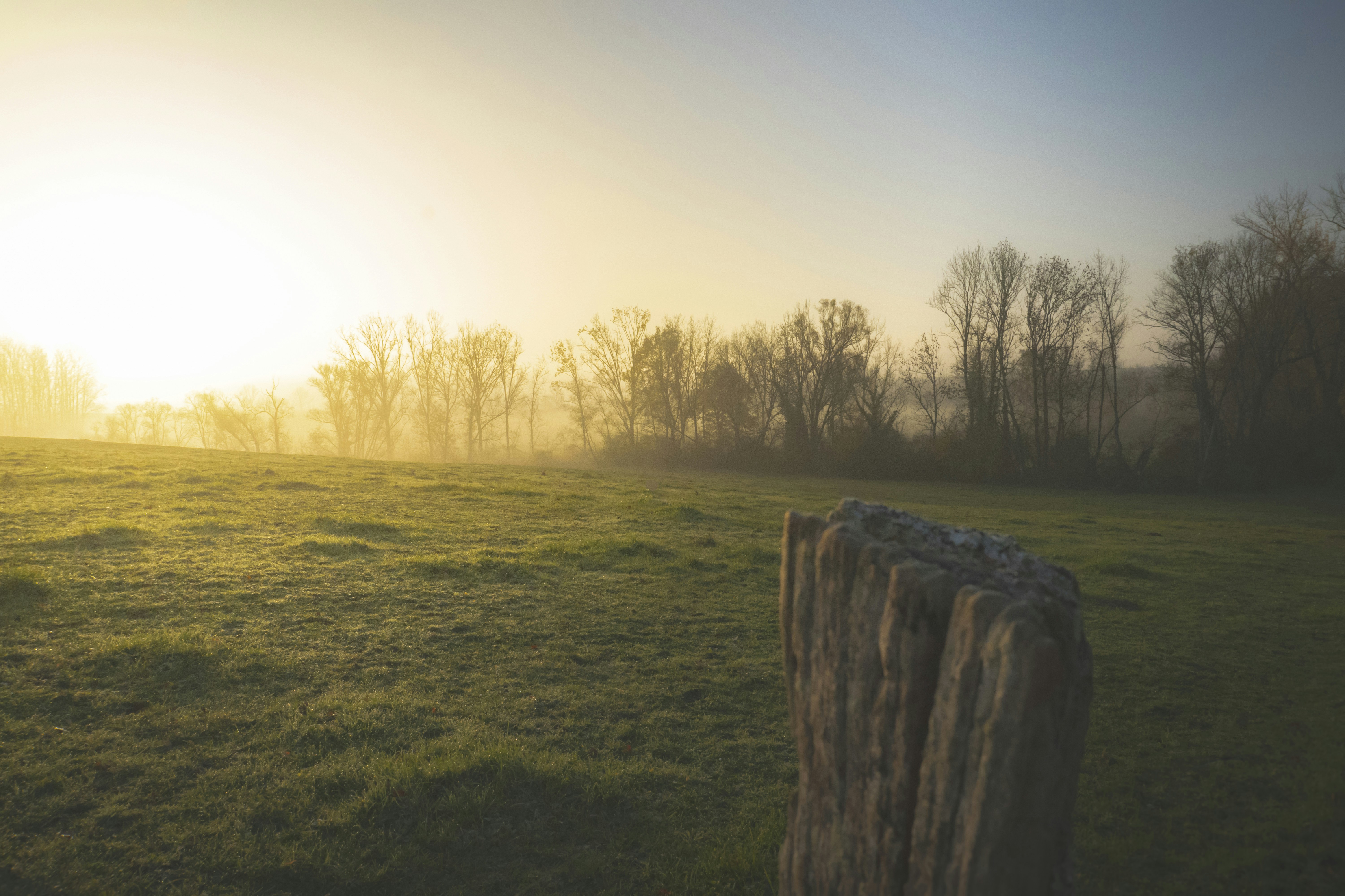 Photo by frederic_lobrutto