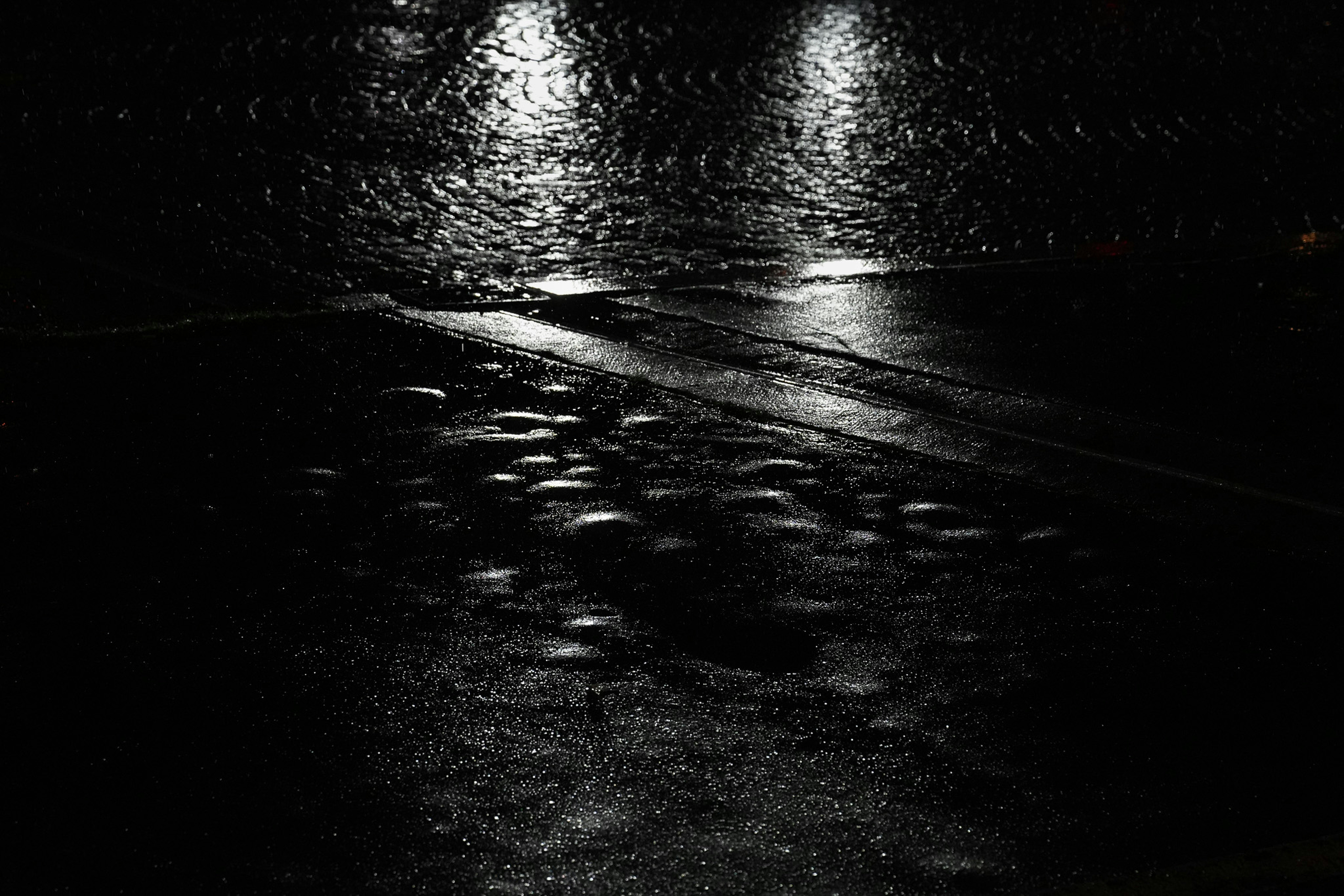 Photo by solomon_6969