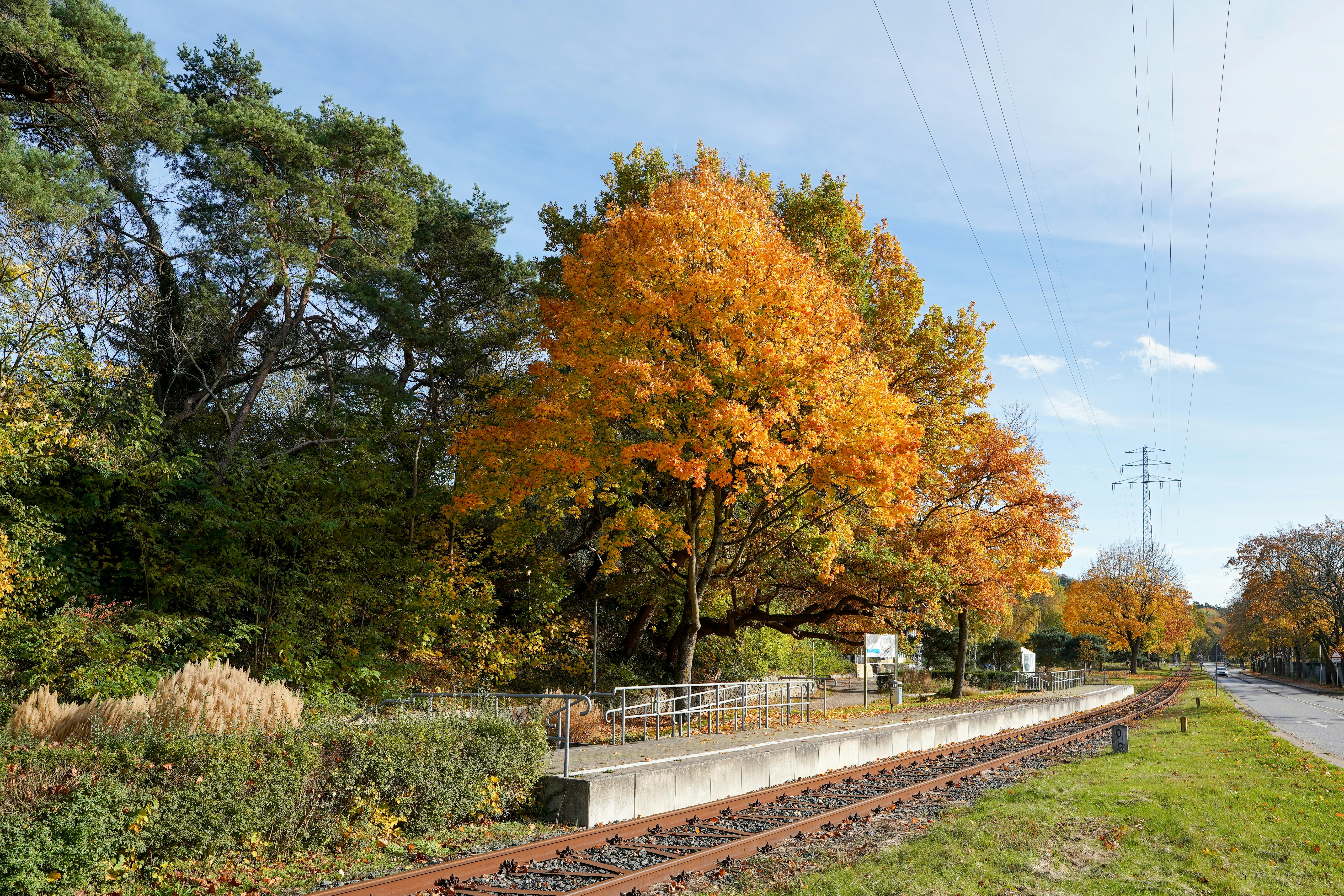 Photo by hamburgmeinefreundin