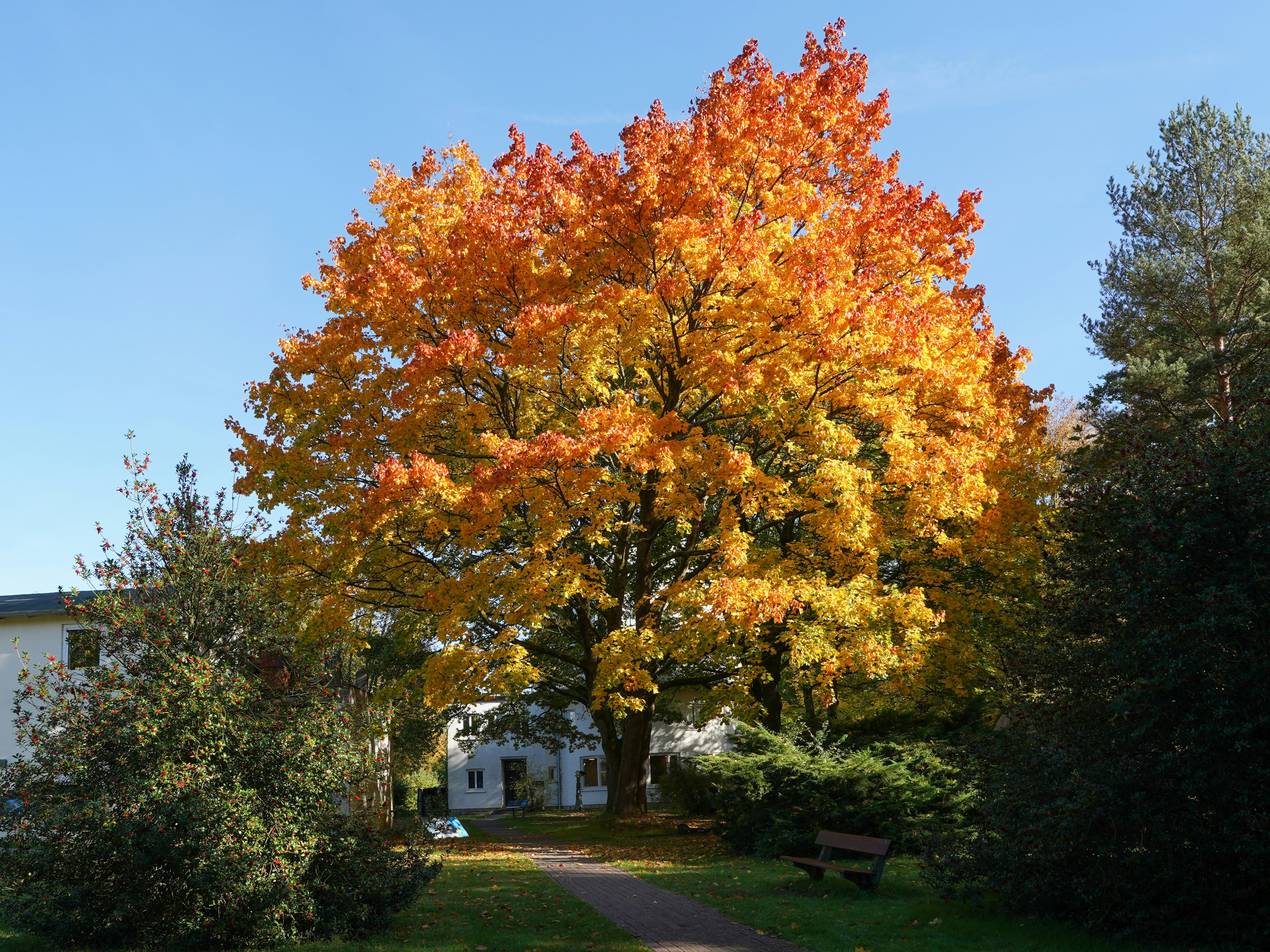 Photo by hamburgmeinefreundin