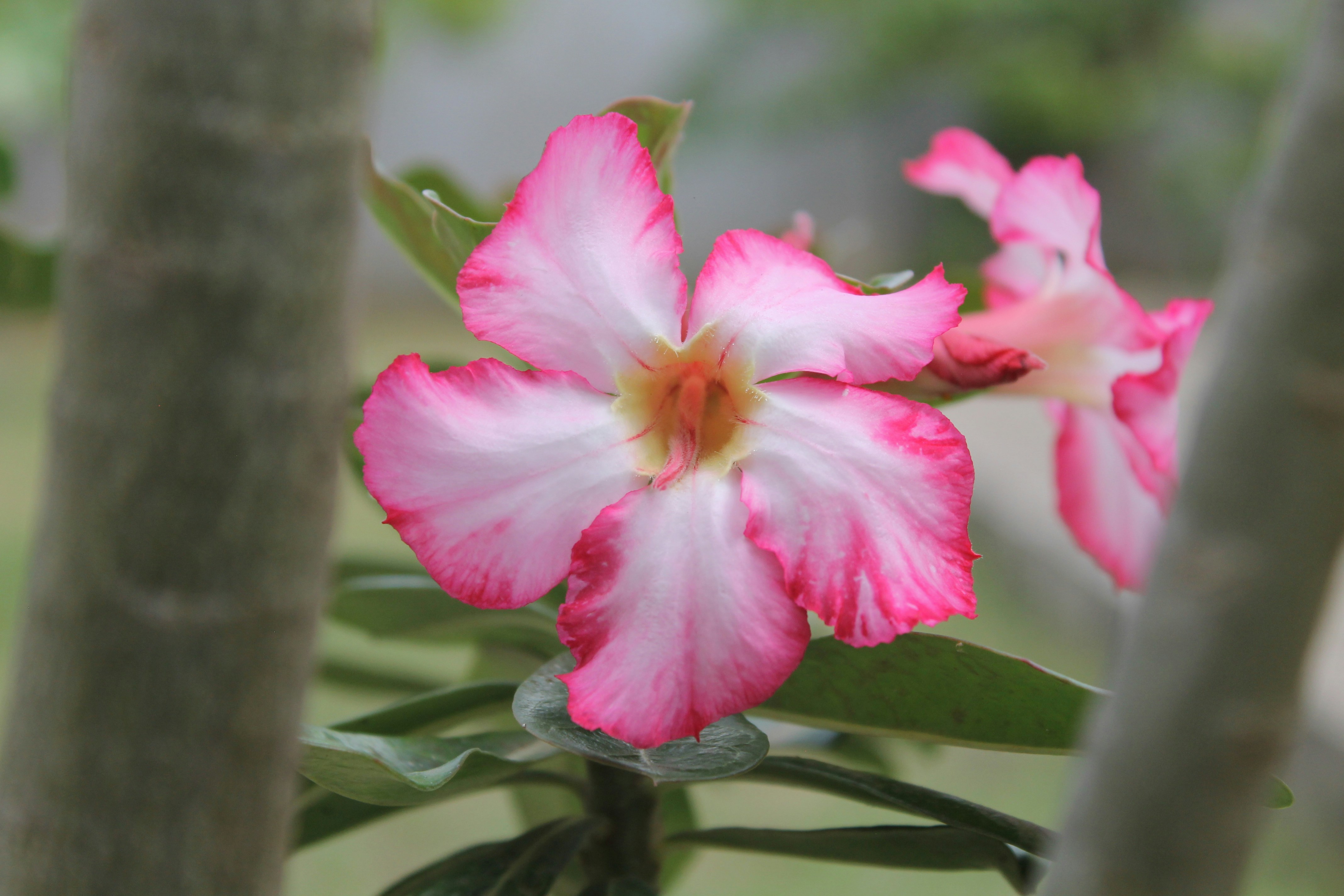 Photo by capturedbybelle