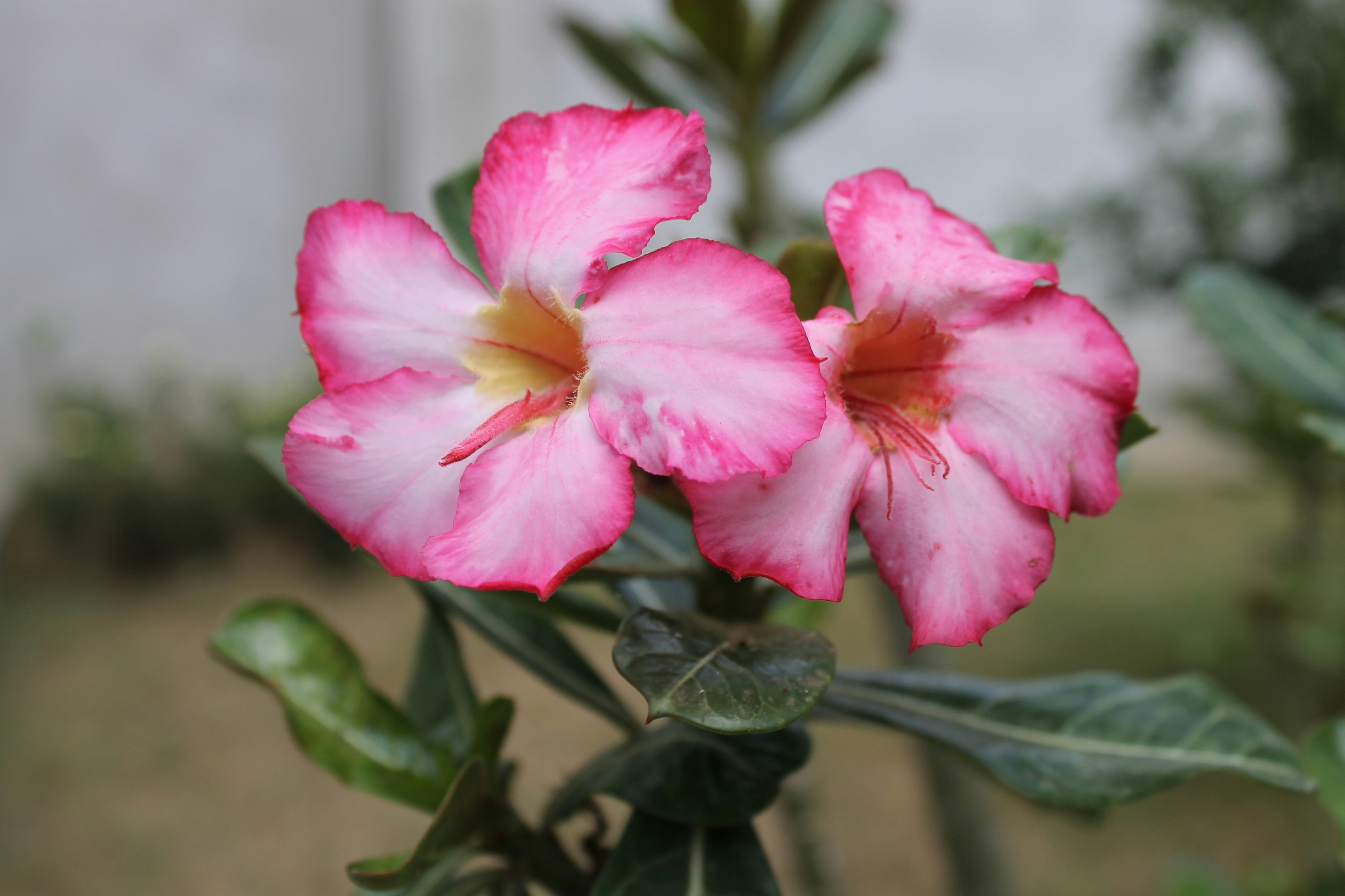 Photo by capturedbybelle