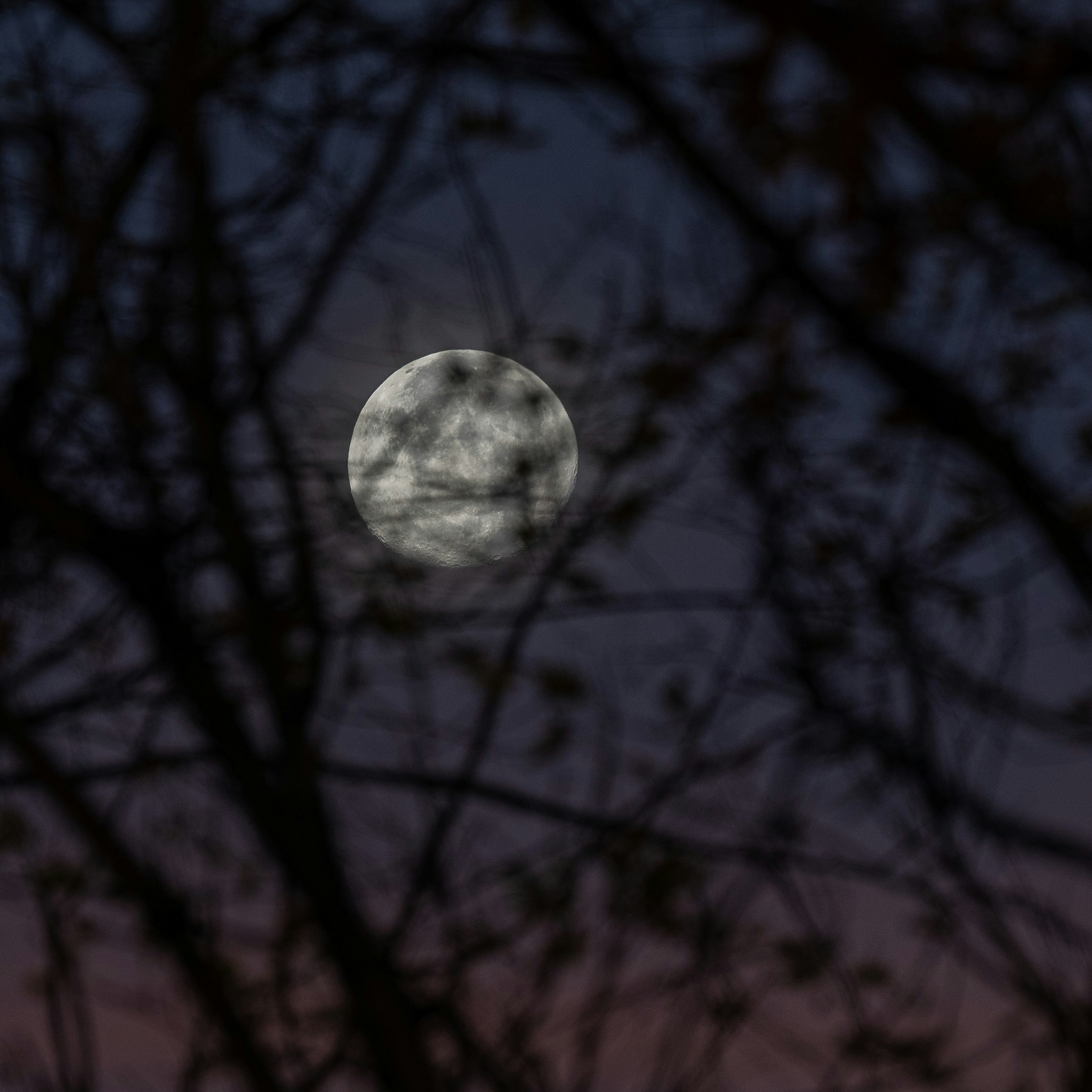 Moondyne, Western Australia