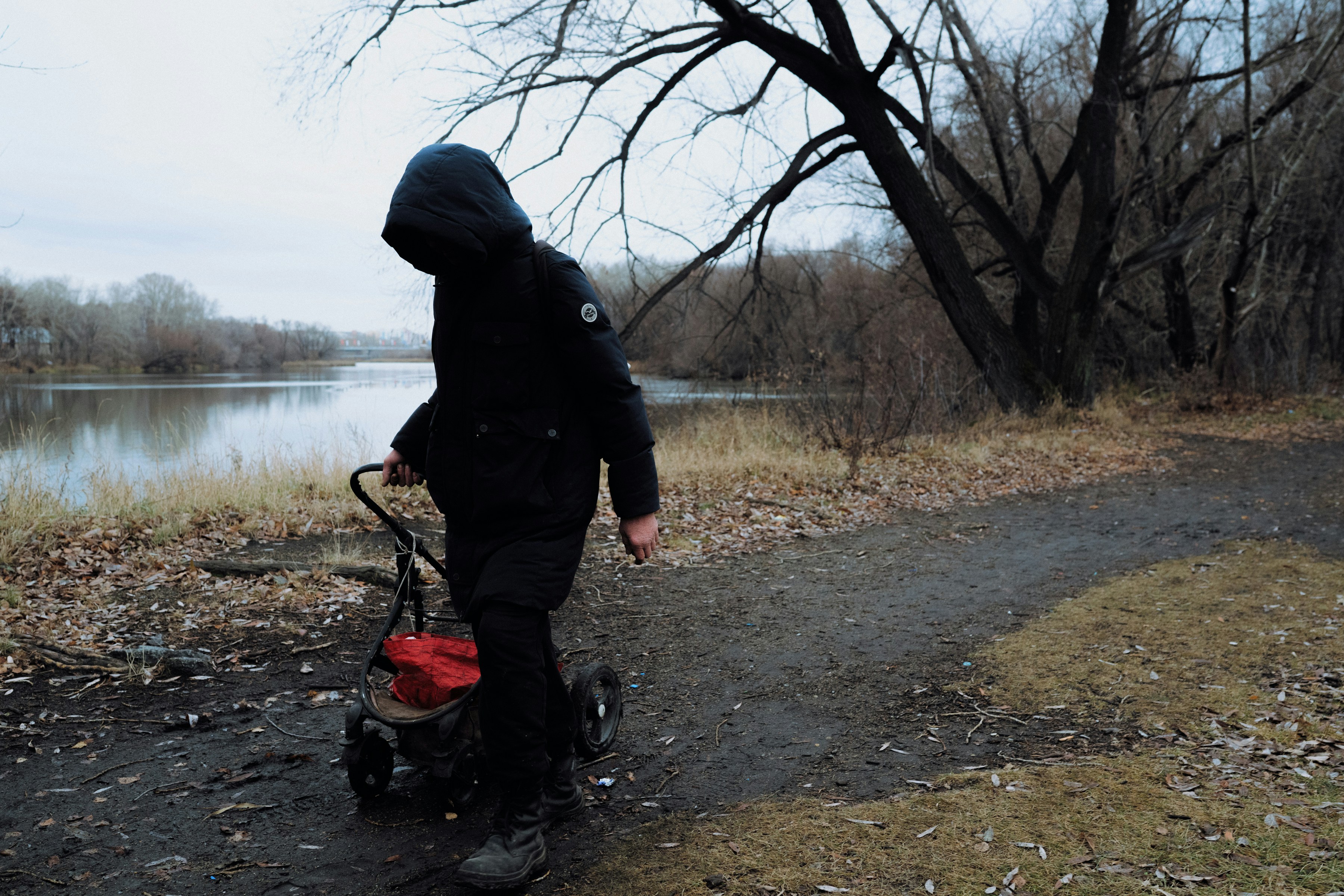 Person with stroller walks on path near river