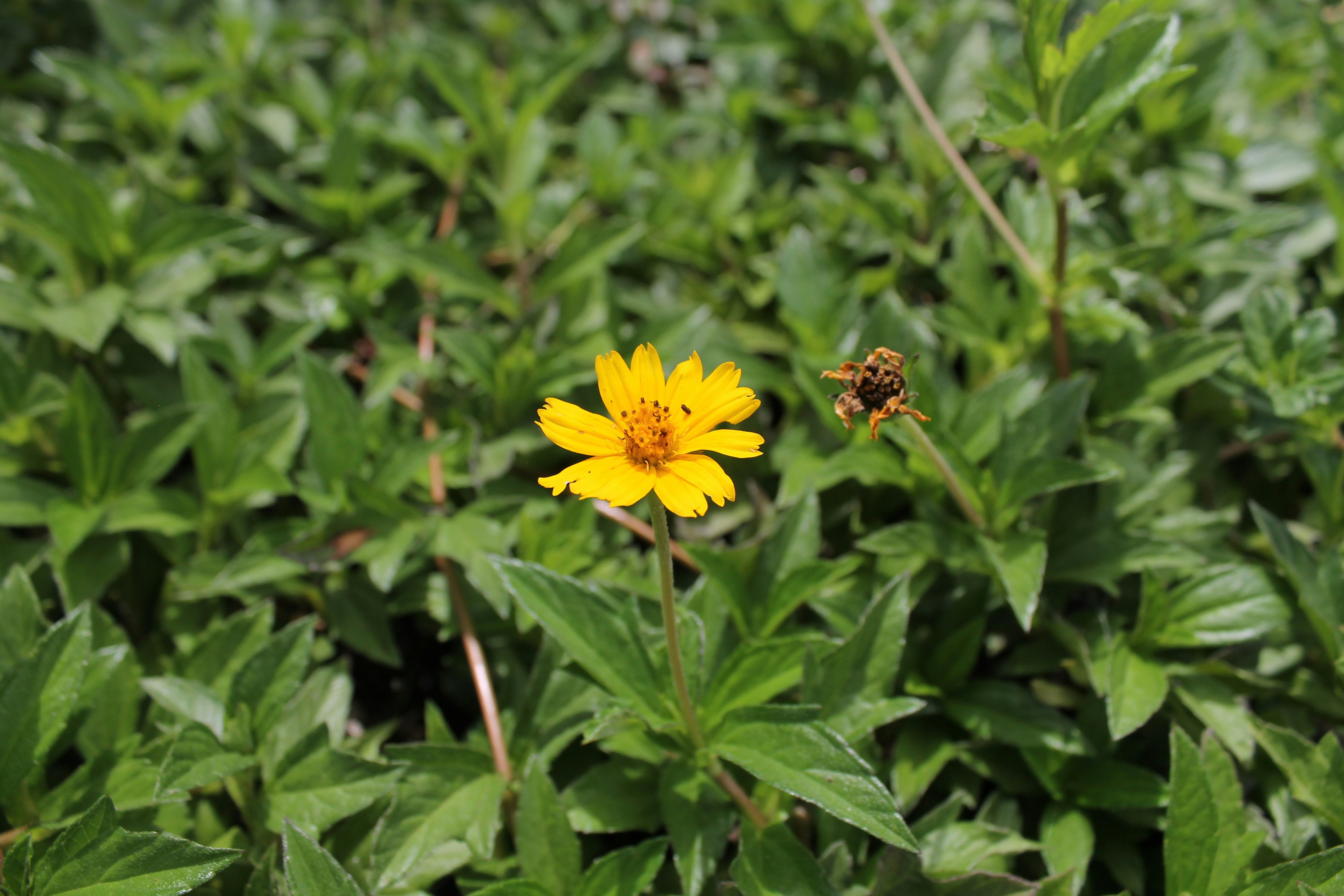 Photo by capturedbybelle