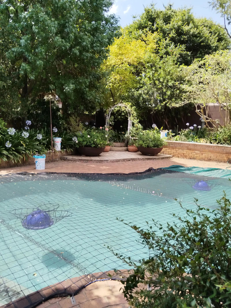 Murky, neglected pool full of debris before treatment