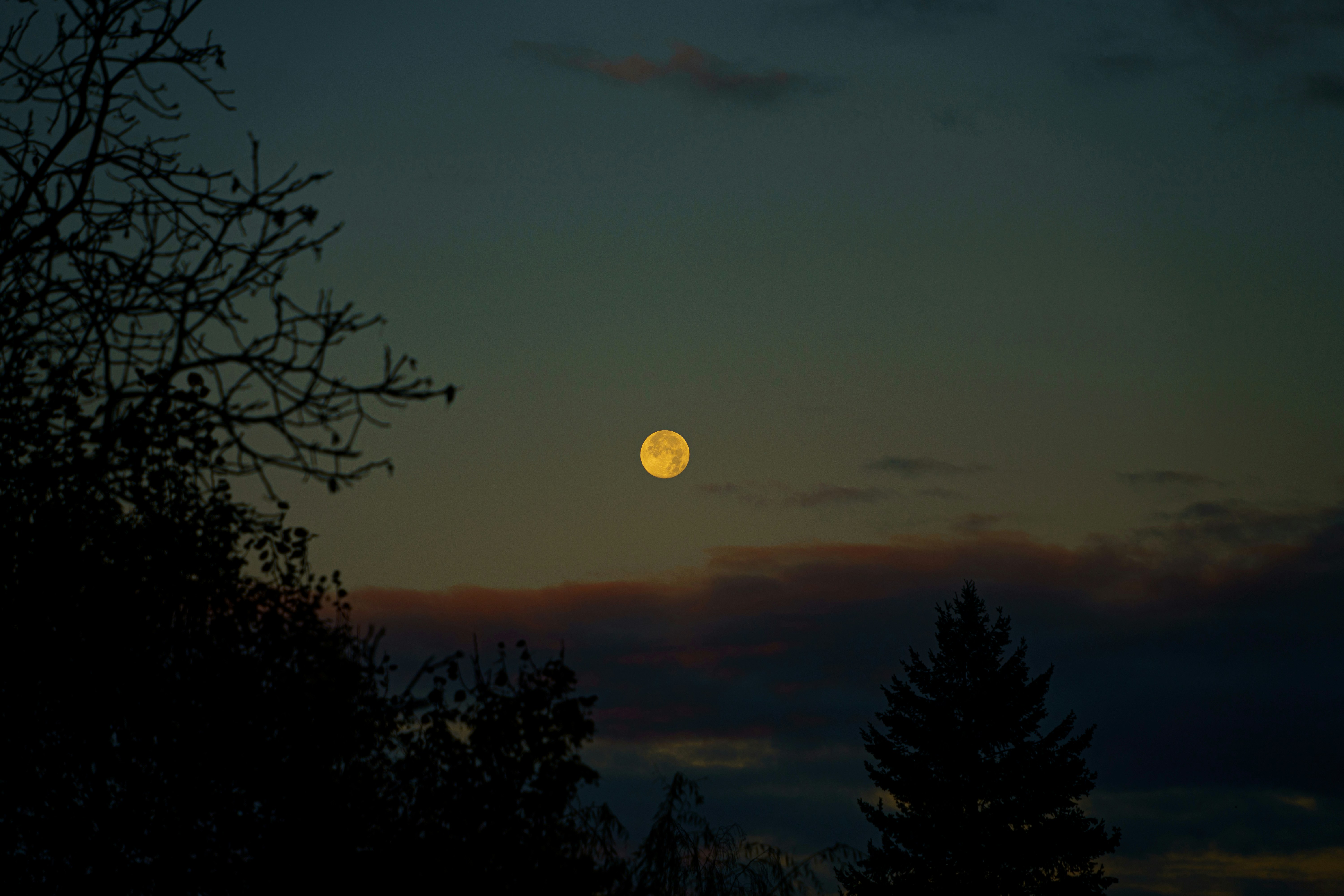 Photo by koss_szilard