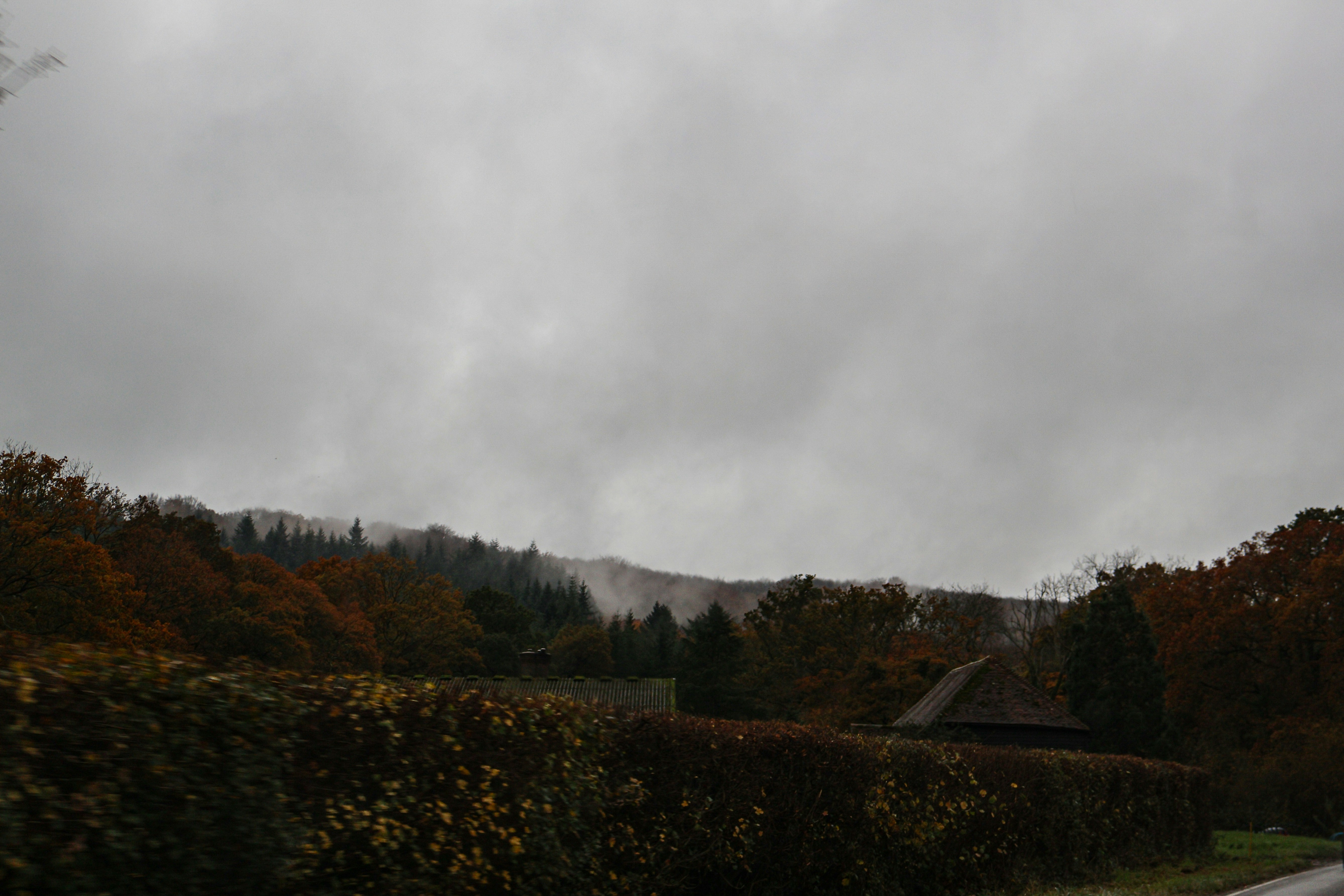 Photo by tanyabarrow