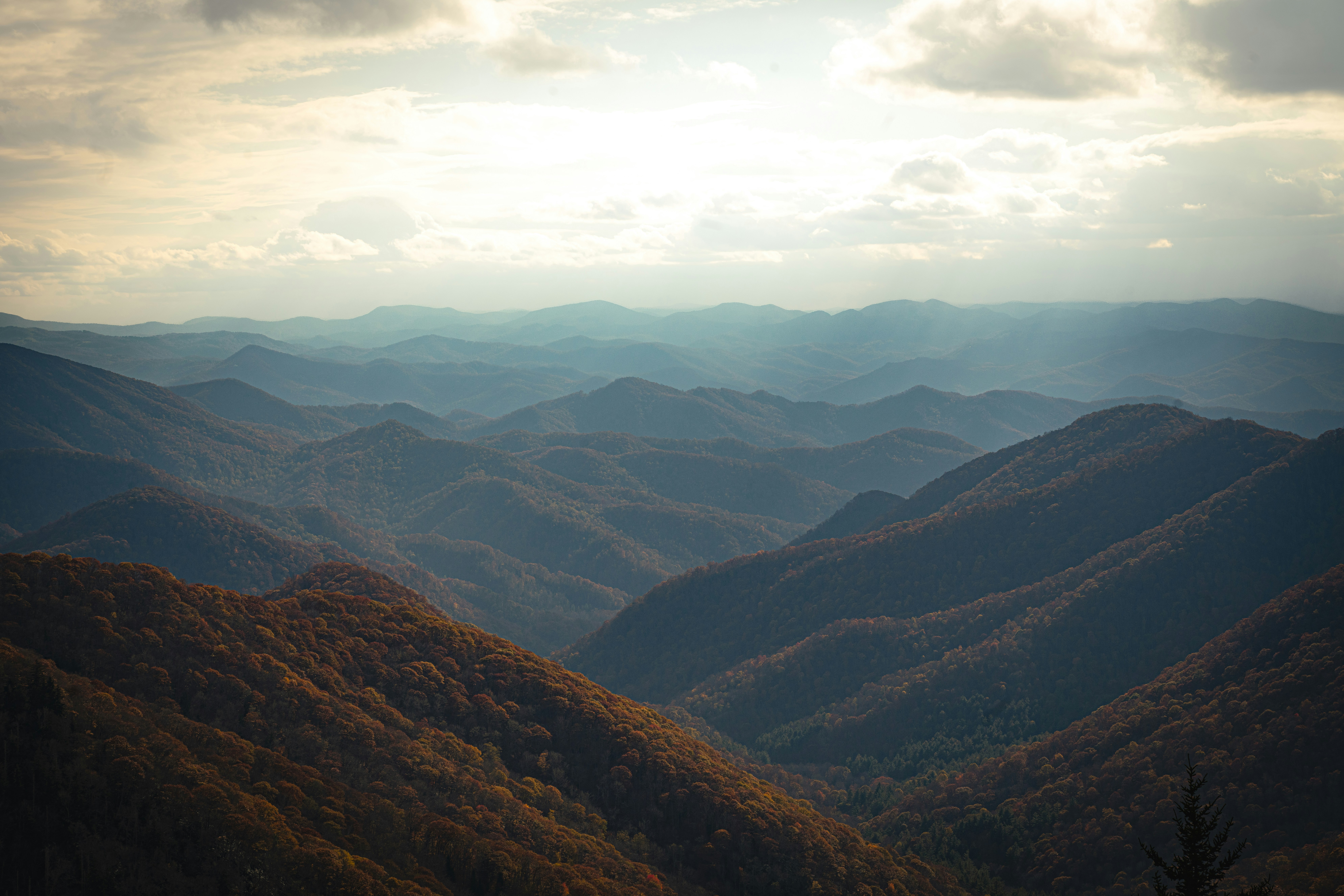 Photo by trevorneely