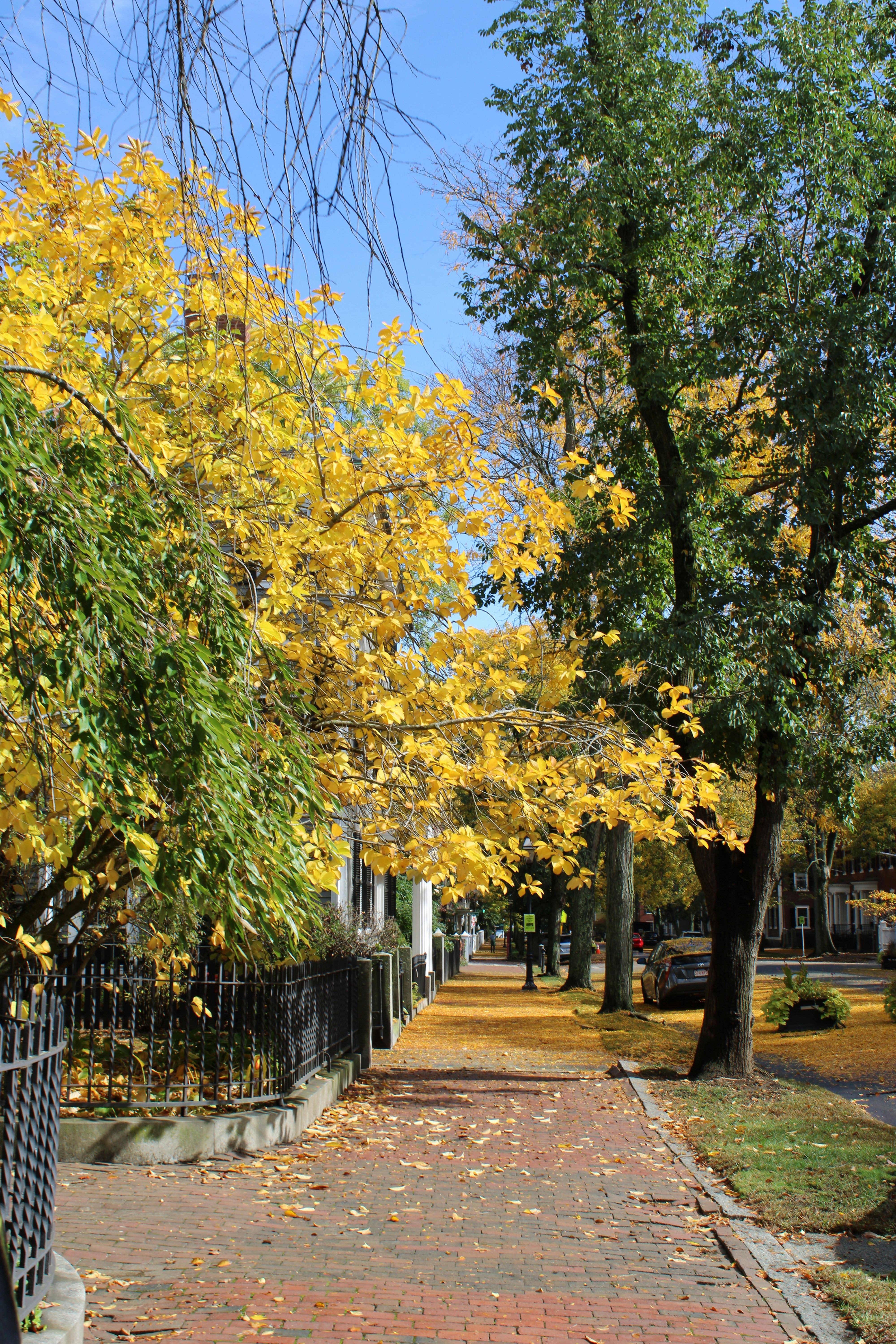 Photo by jessicalangbei8