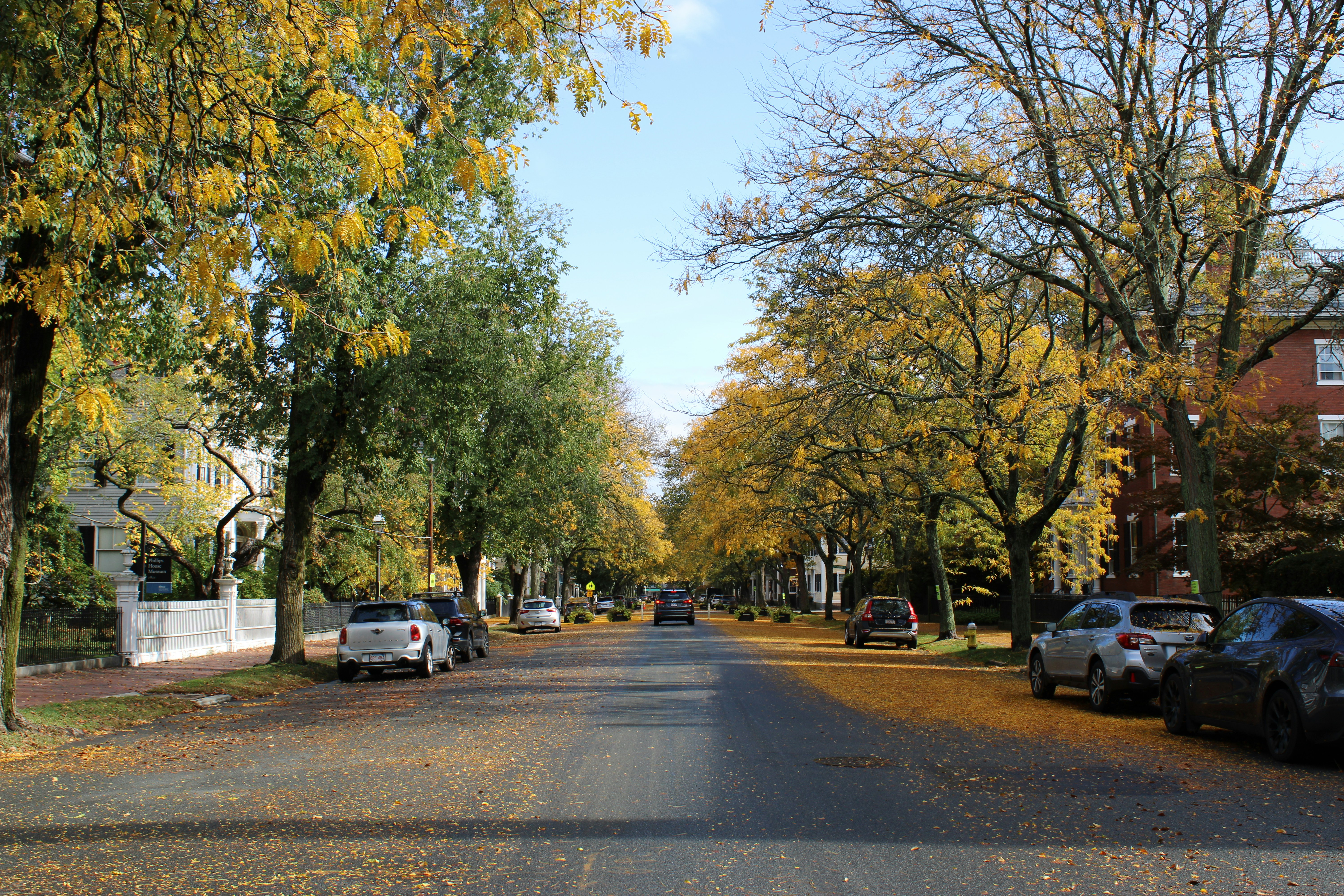 Autumn trees line a quiet residential street