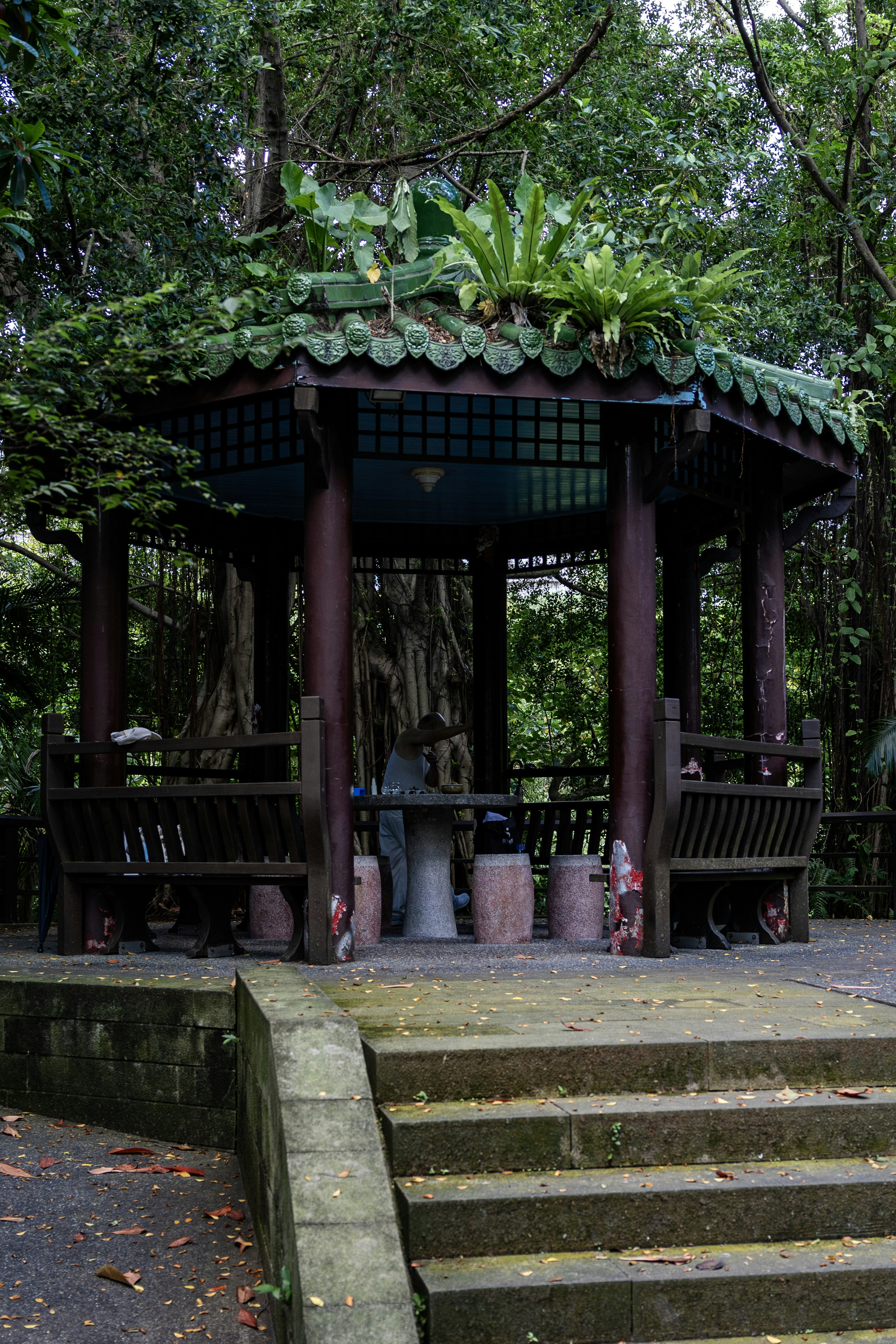 Photo by maxim_klimashin