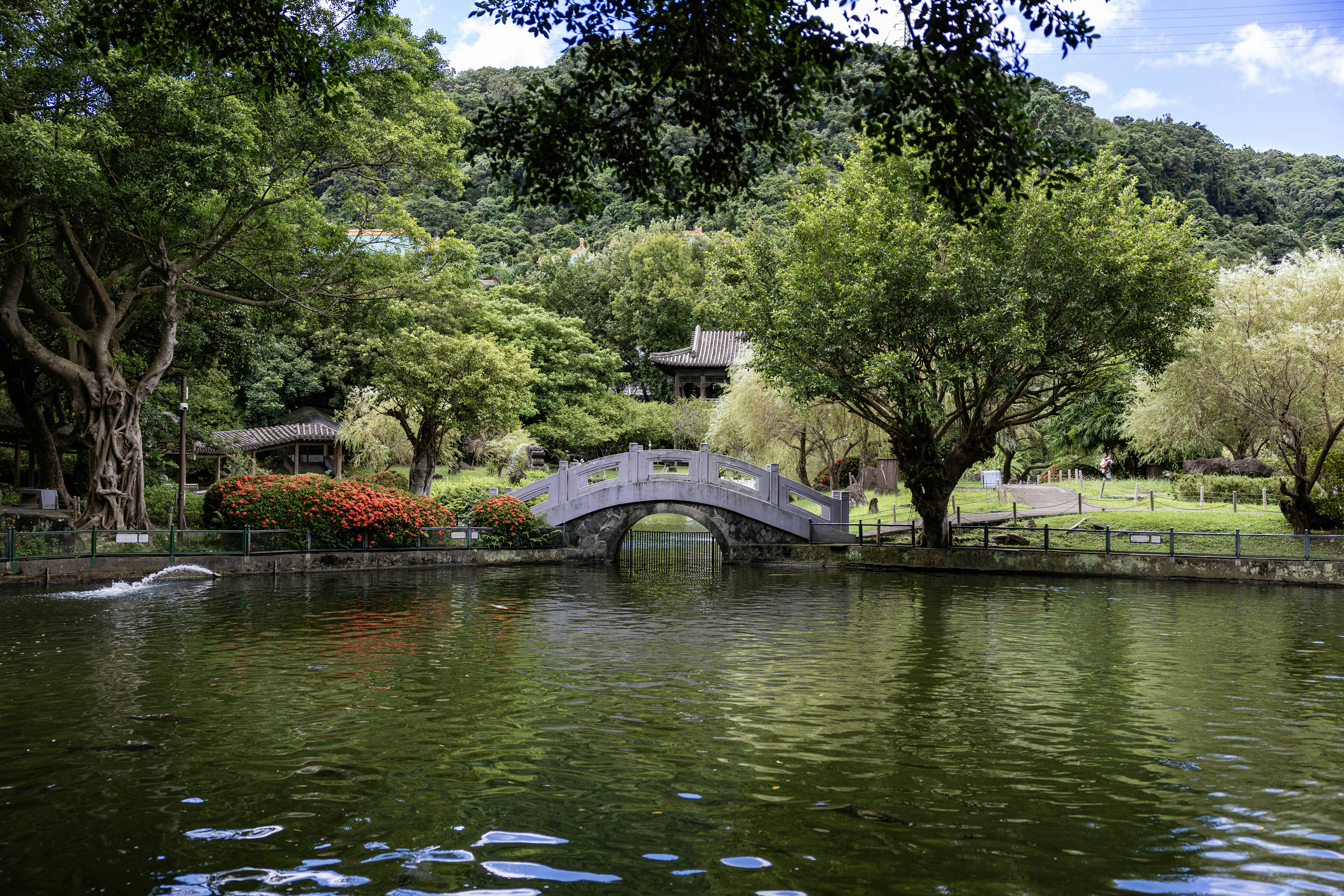 Photo by maxim_klimashin