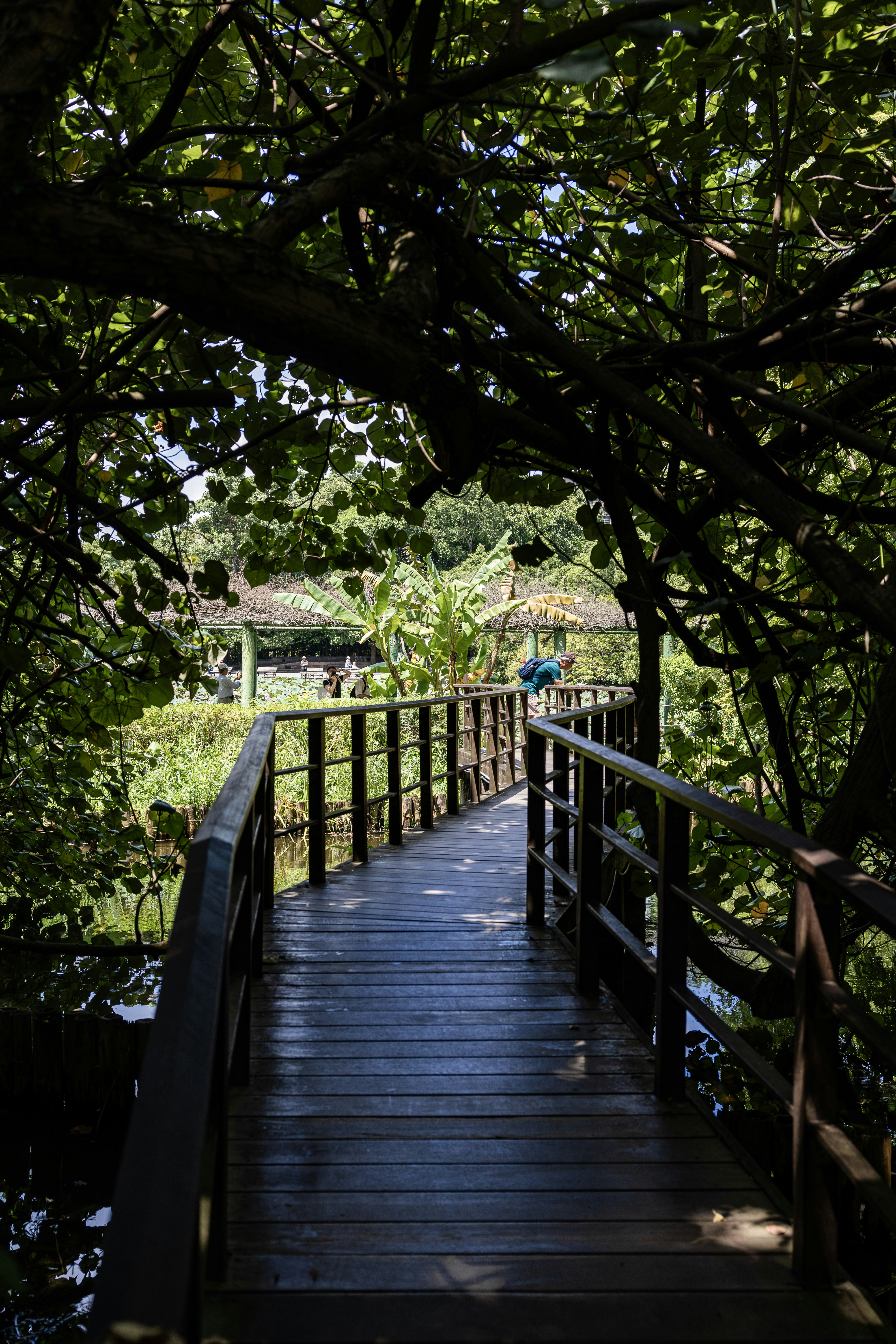 Photo by maxim_klimashin