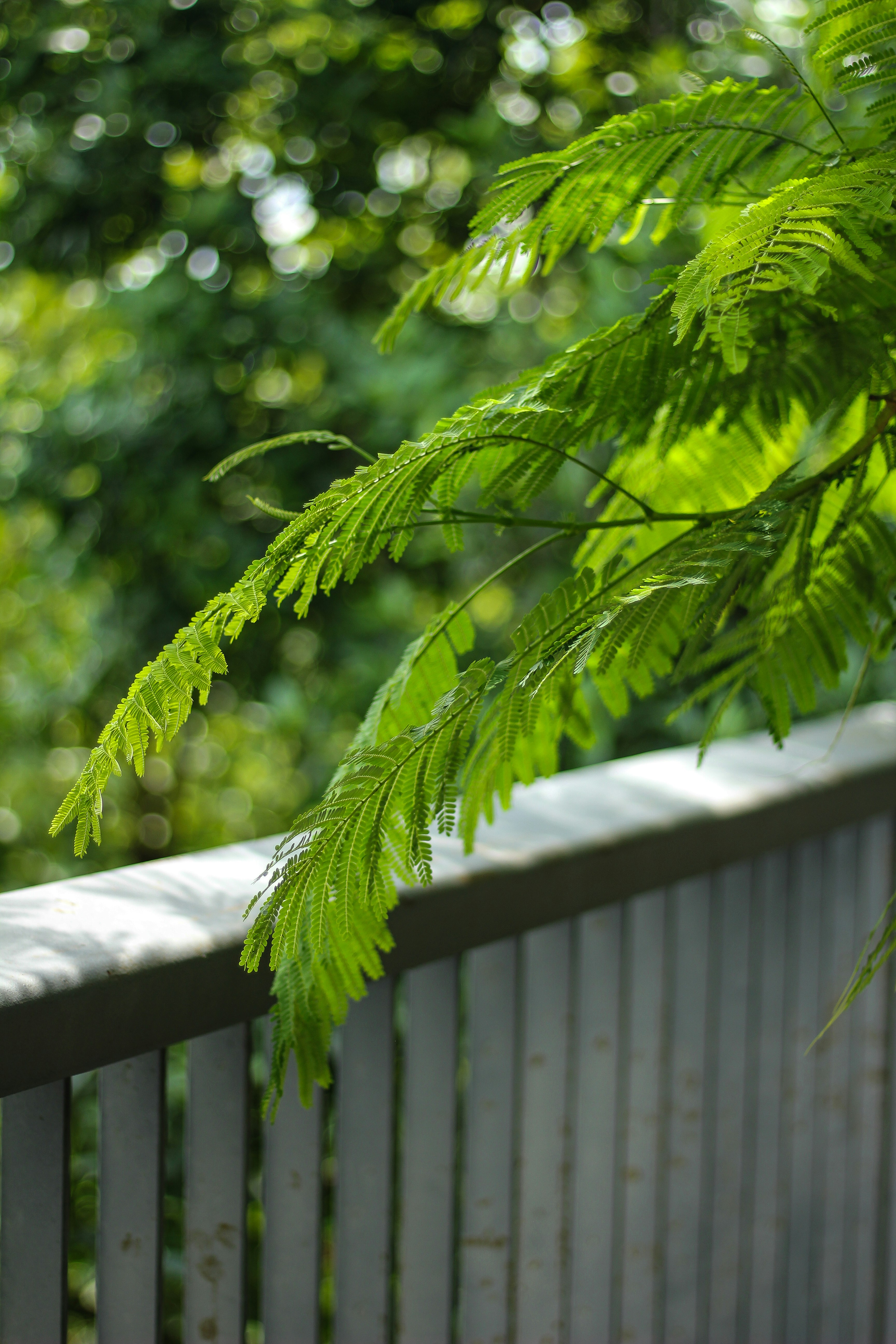 Photo by iris_herphotography