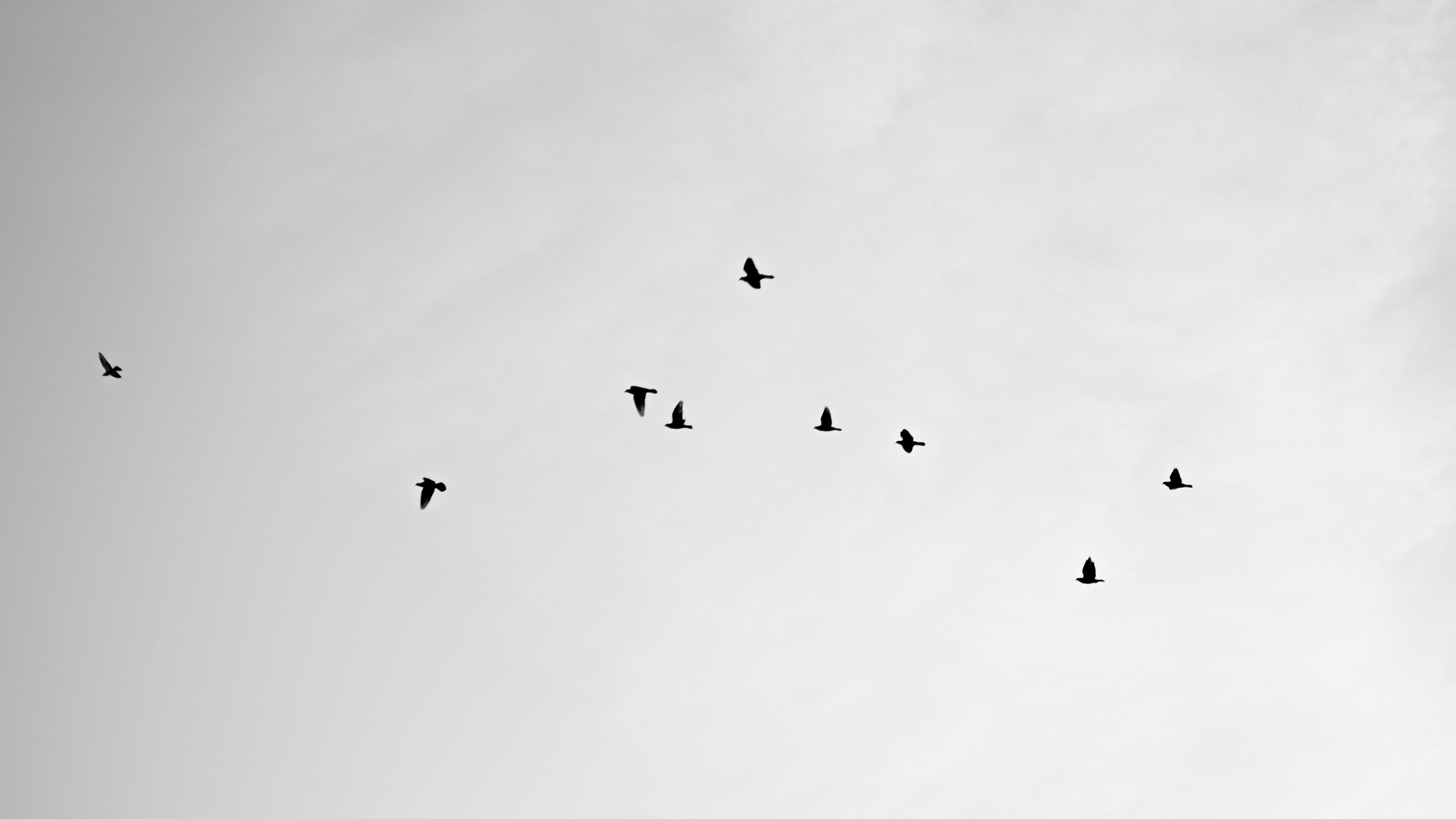 Photo by branislavrodman