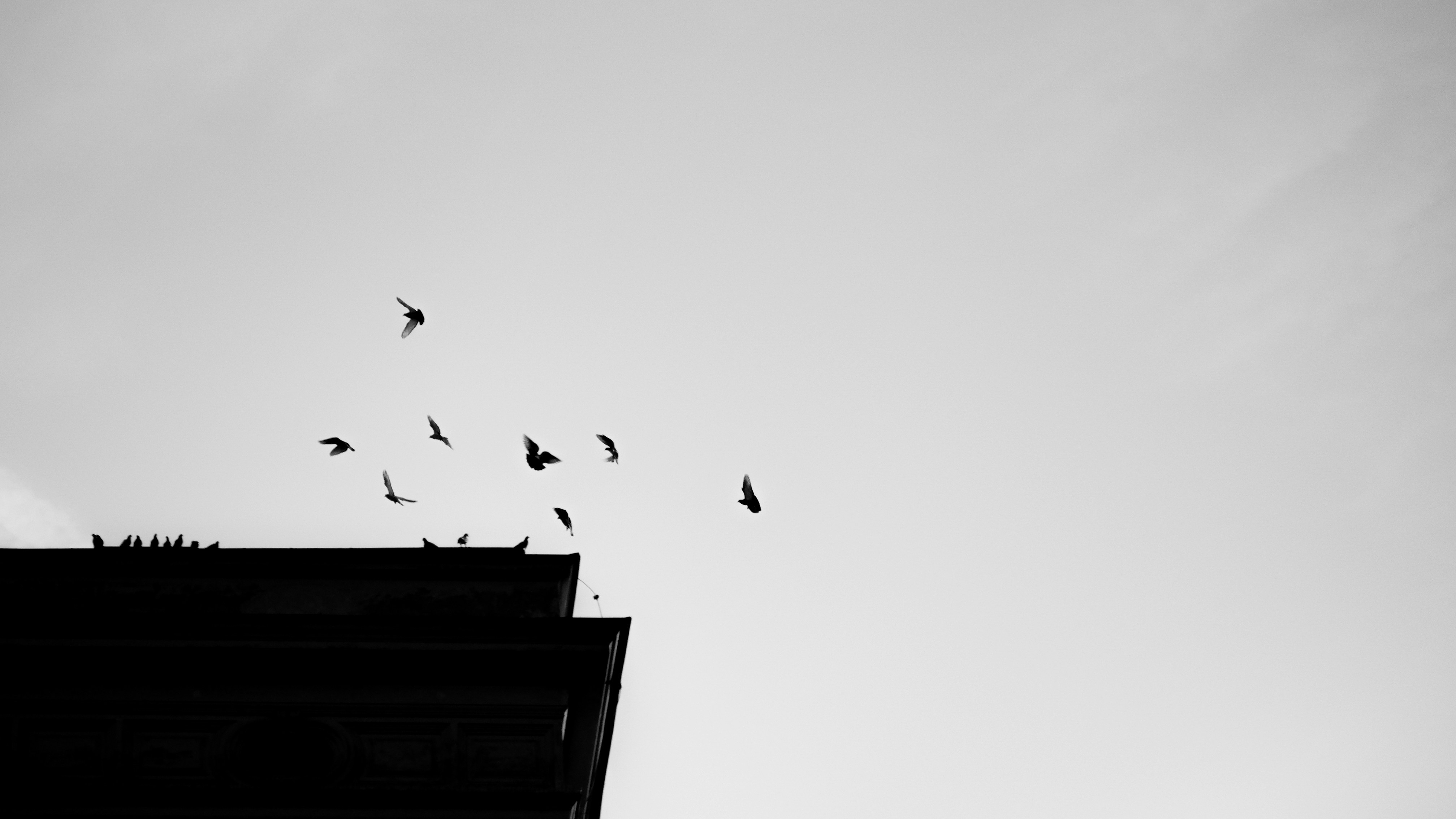 Photo by branislavrodman