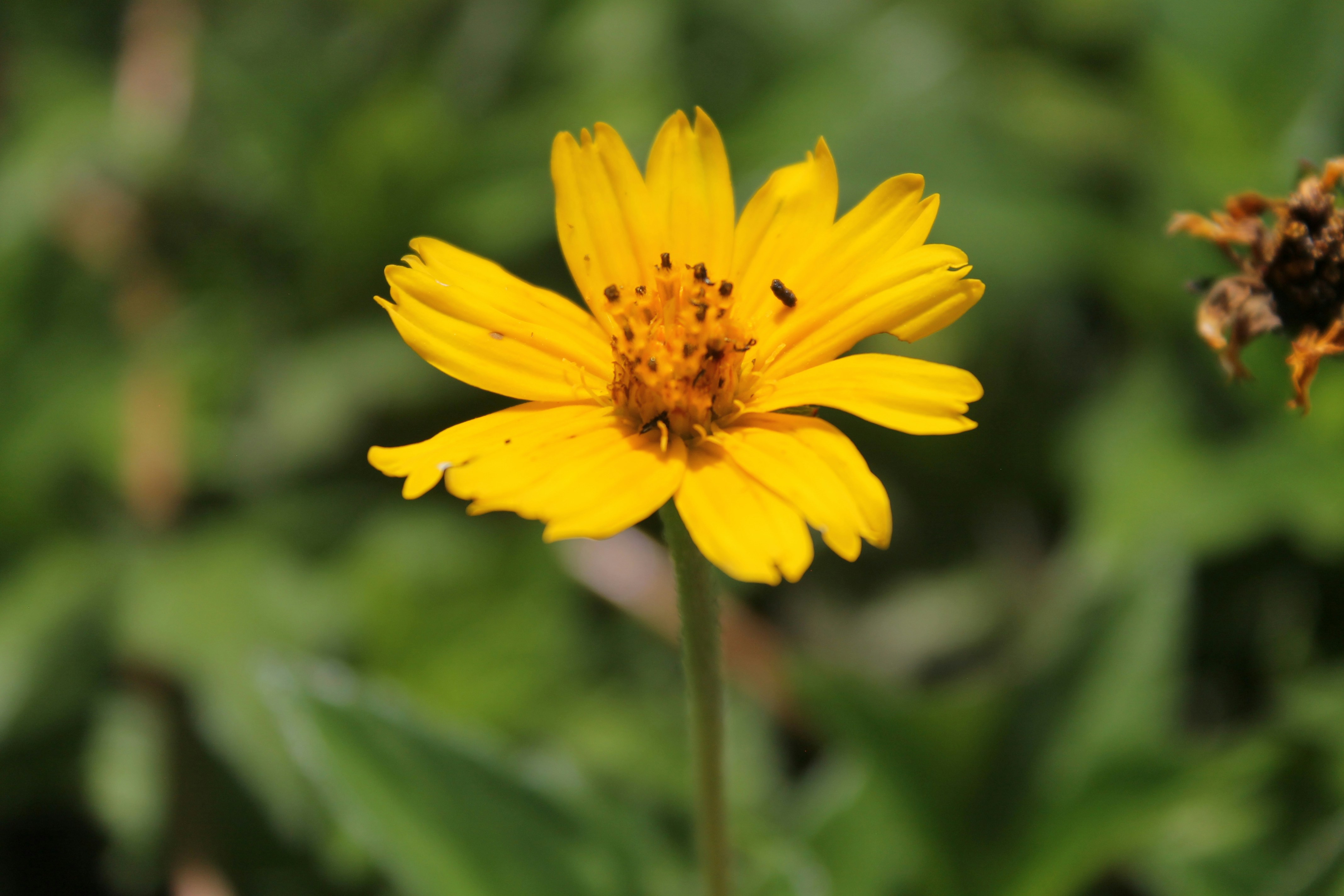 Photo by capturedbybelle