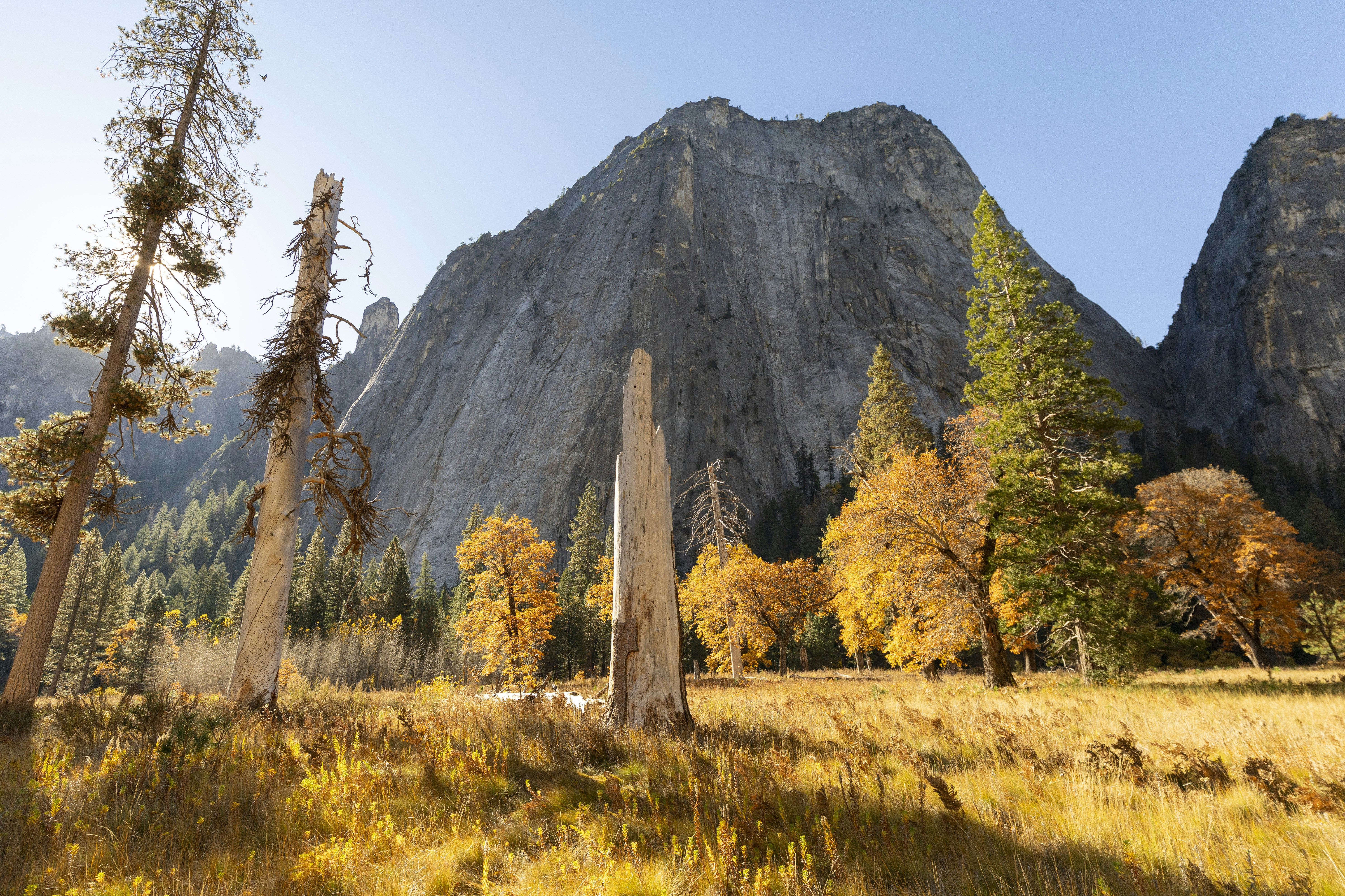 Photo by leo_visions_