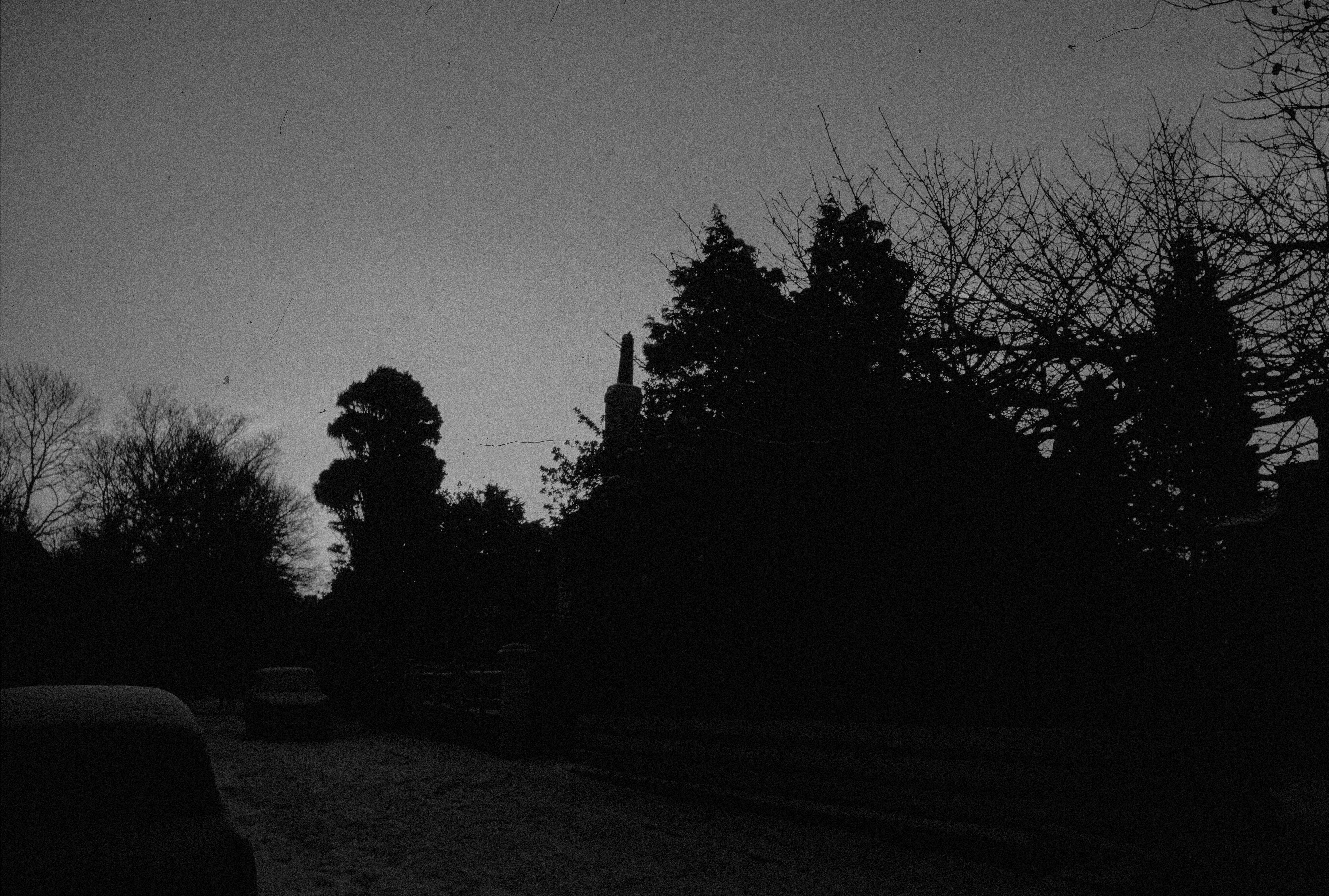 Photo by anniespratt