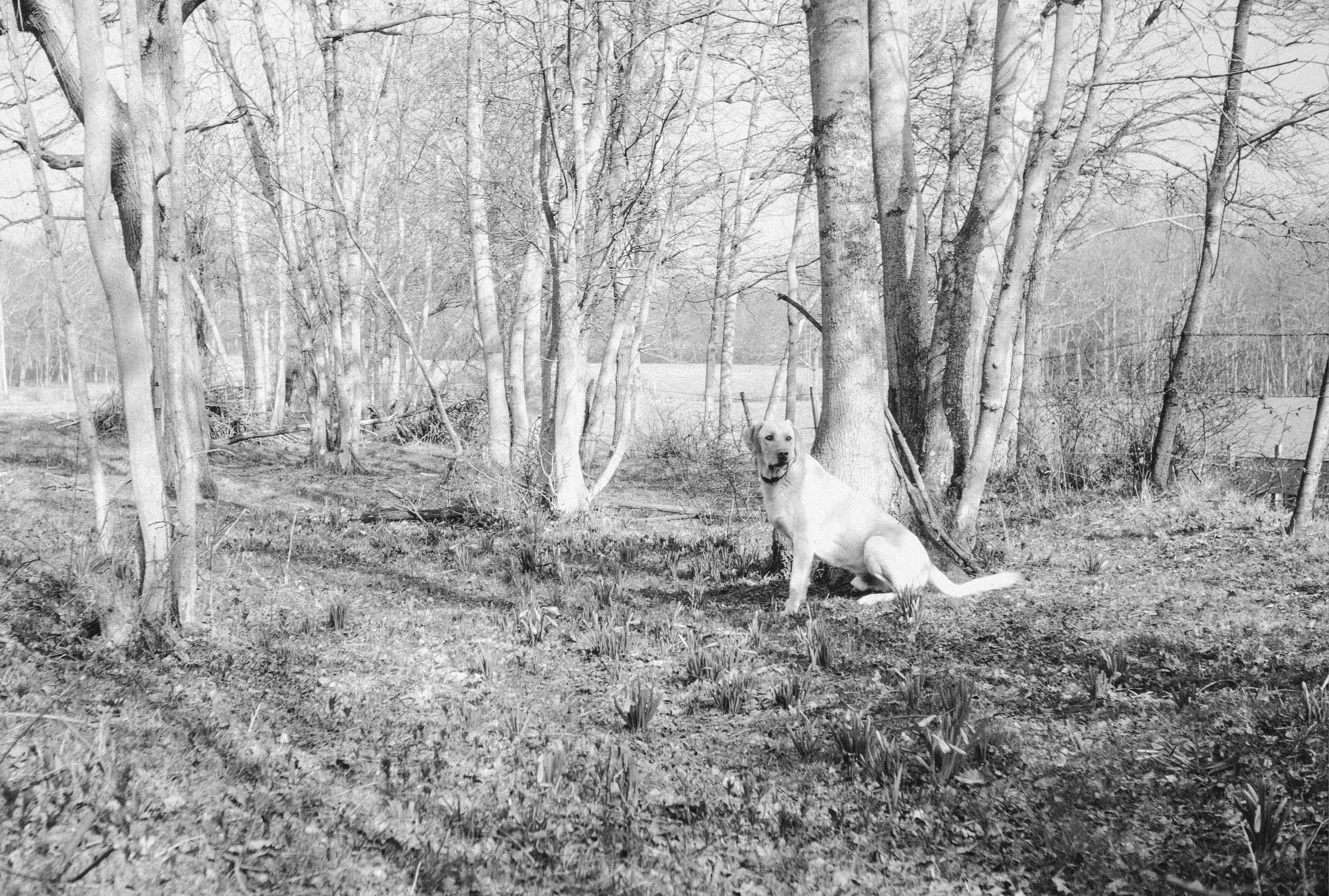 Photo by anniespratt