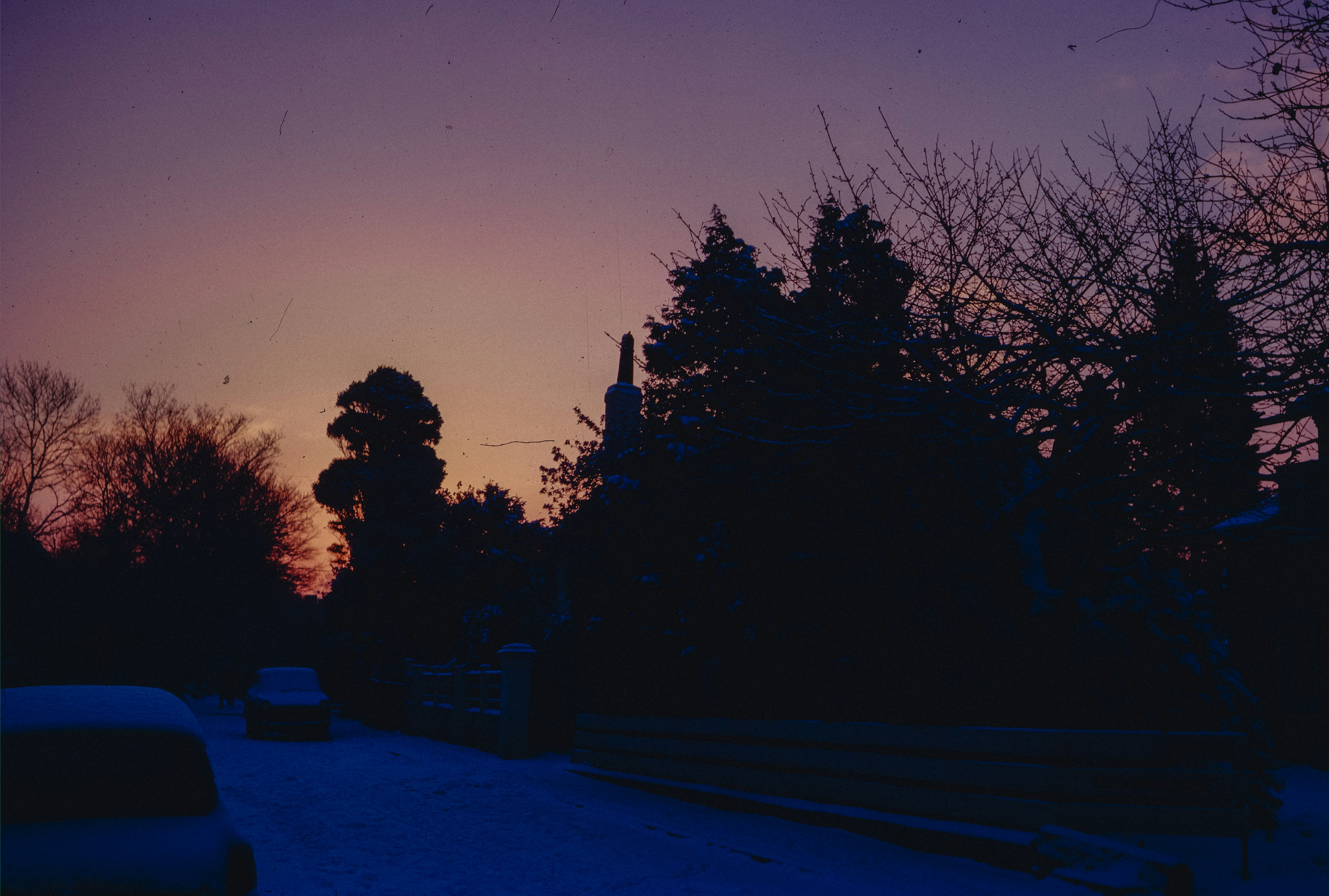 Photo by anniespratt