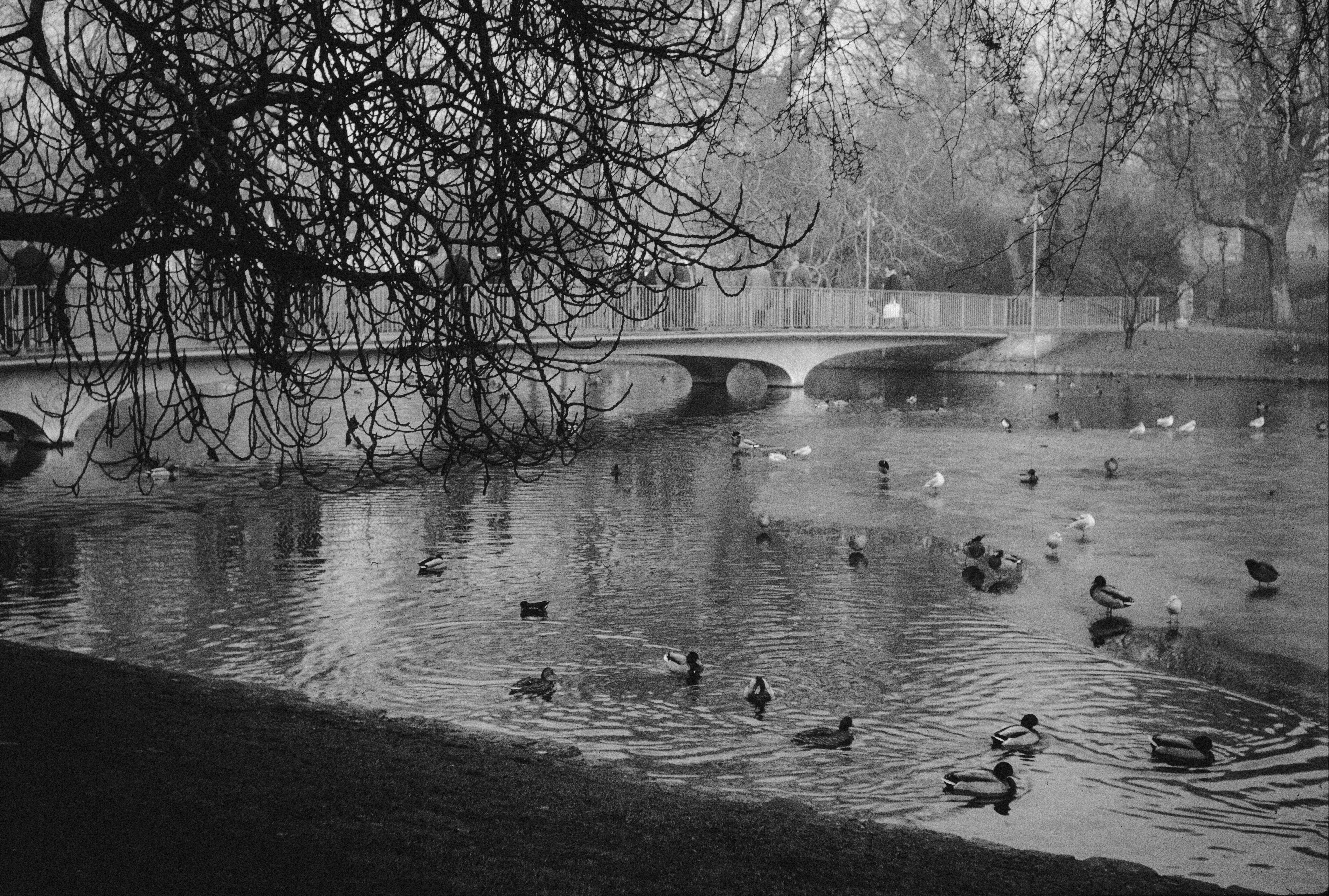 Photo by anniespratt