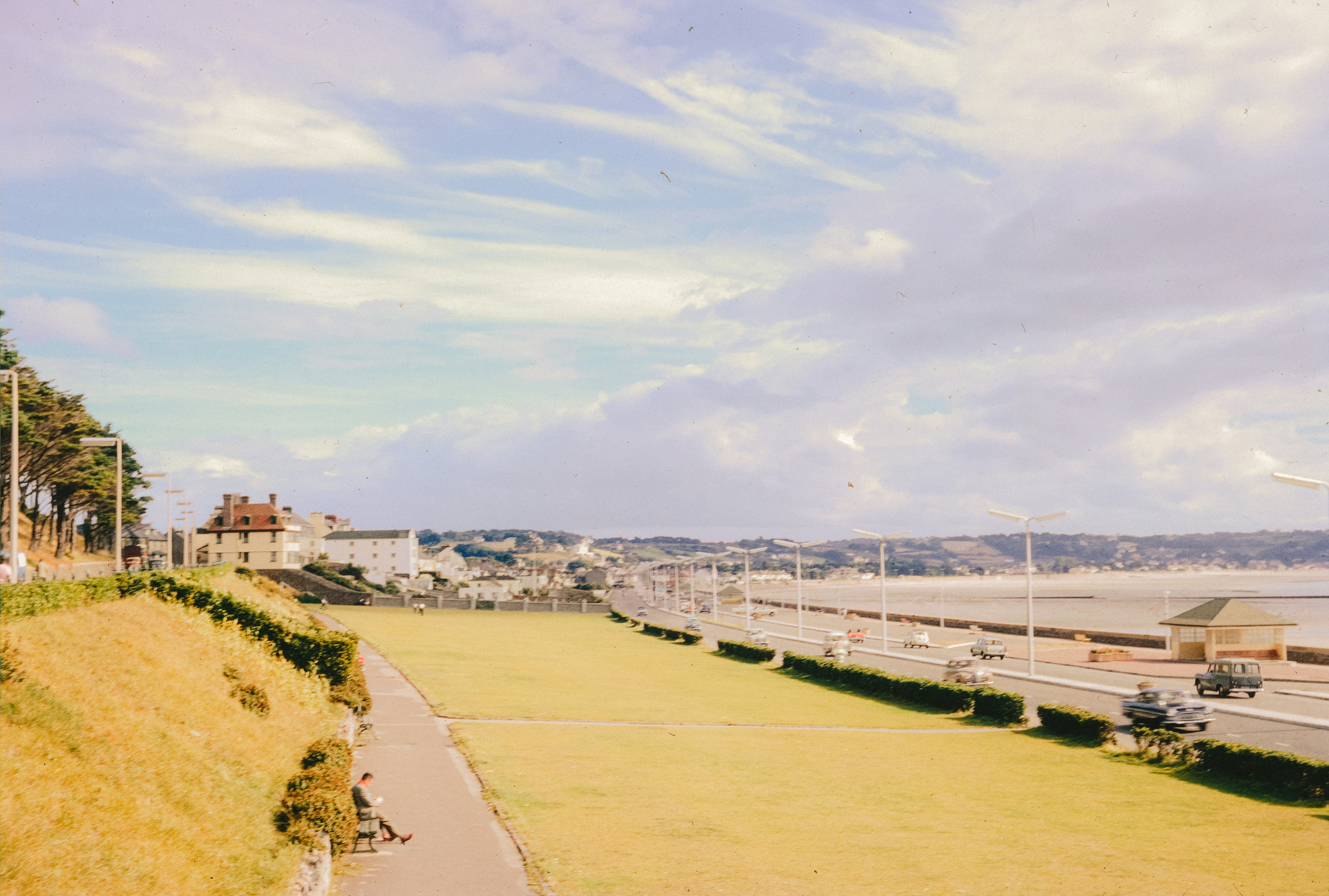 coastal lawn