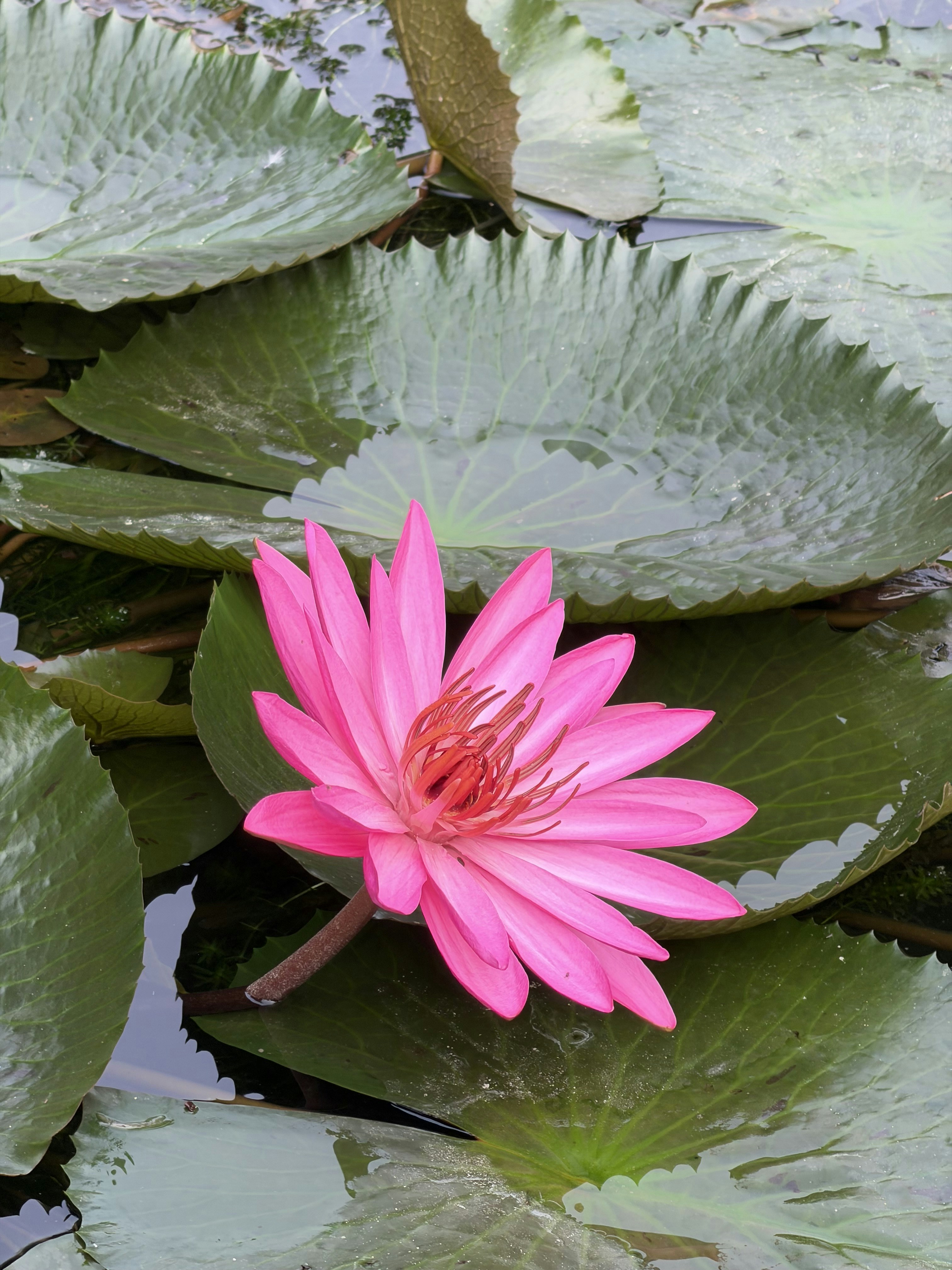 Photo by phoenix_2022