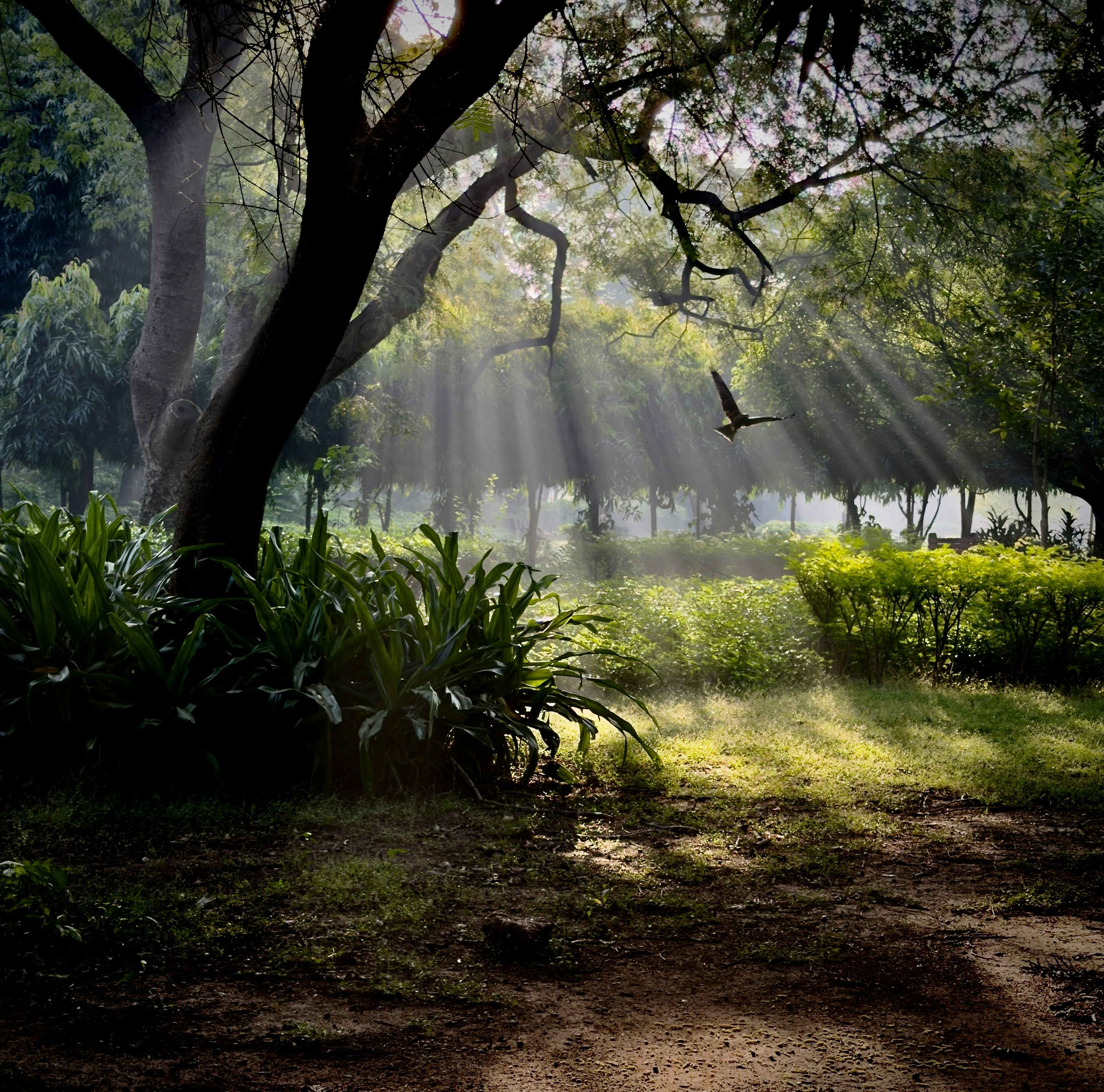 Photo by phoenix_2022