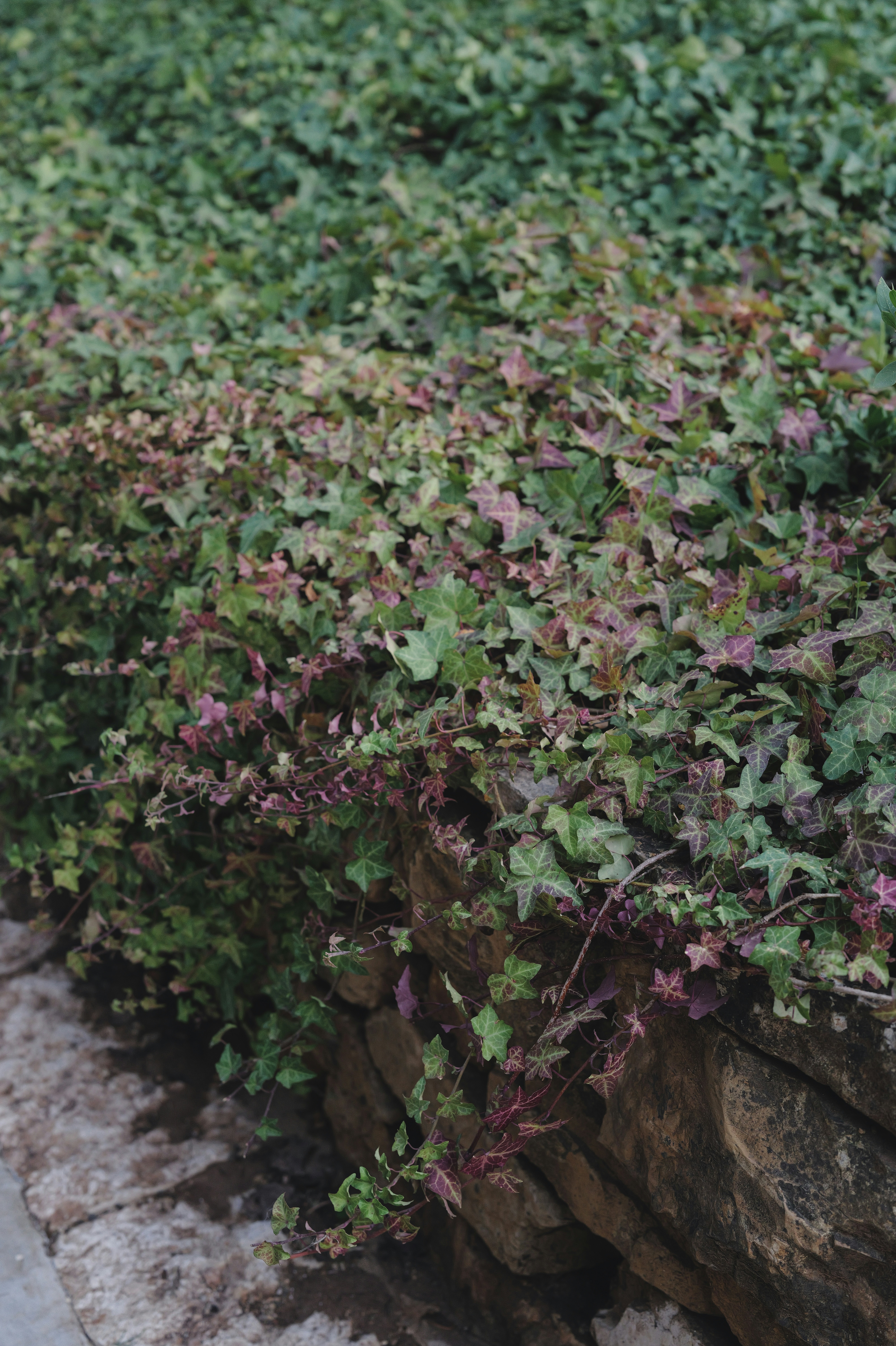 Photo by anyachernykh