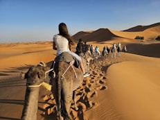People riding camels through sand dunes at sunset.