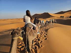 People riding camels through sand dunes at sunset.