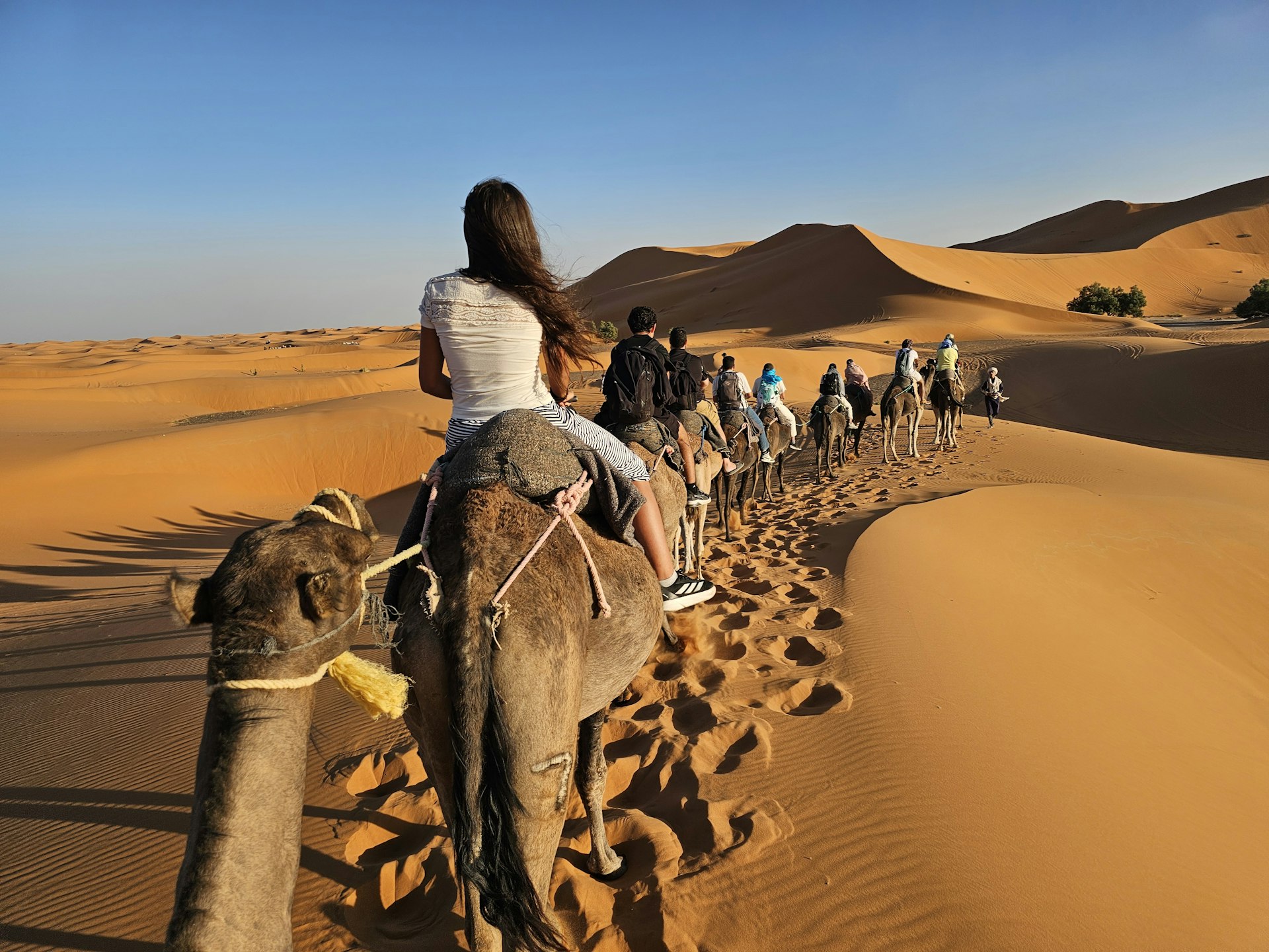 People riding camels through sand dunes at sunset.