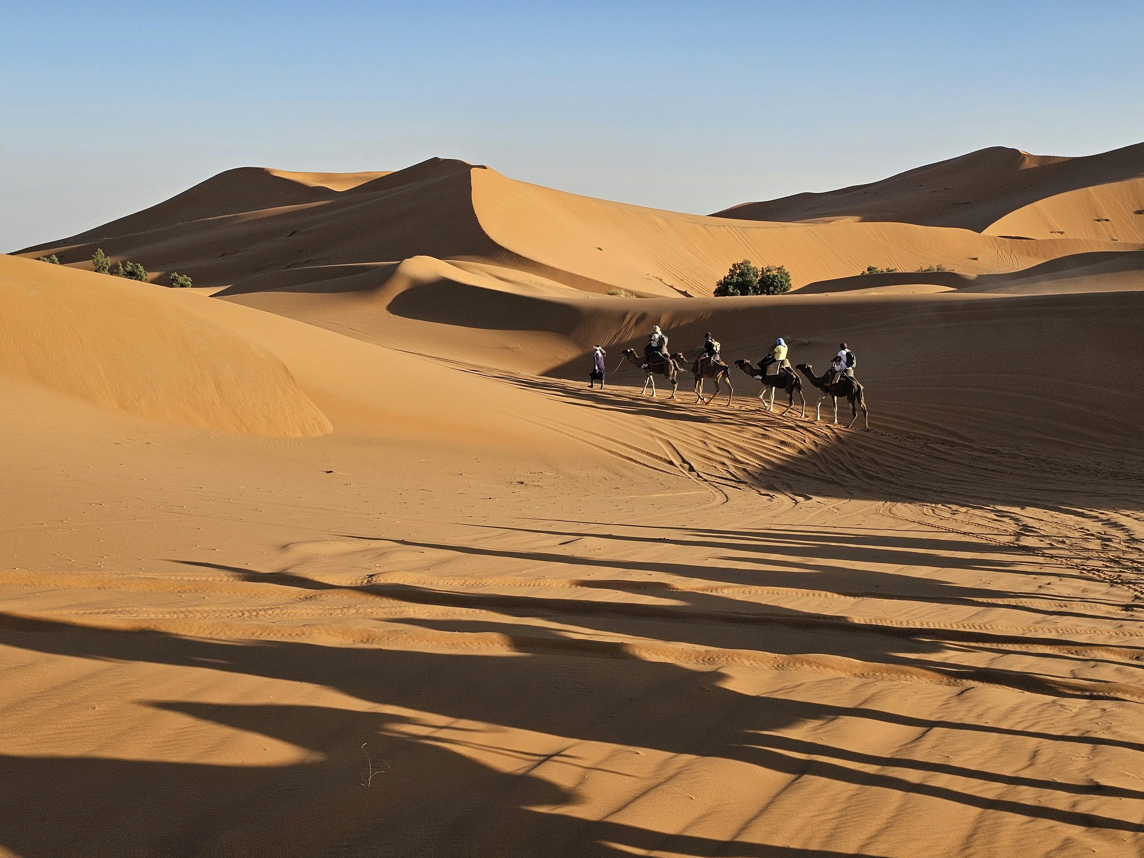 Photo by find_something_pretty_everyday