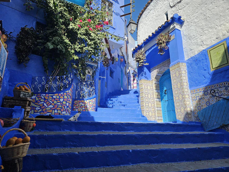 Hidden Attractions in Medina That Most Tourists Walk Right Past