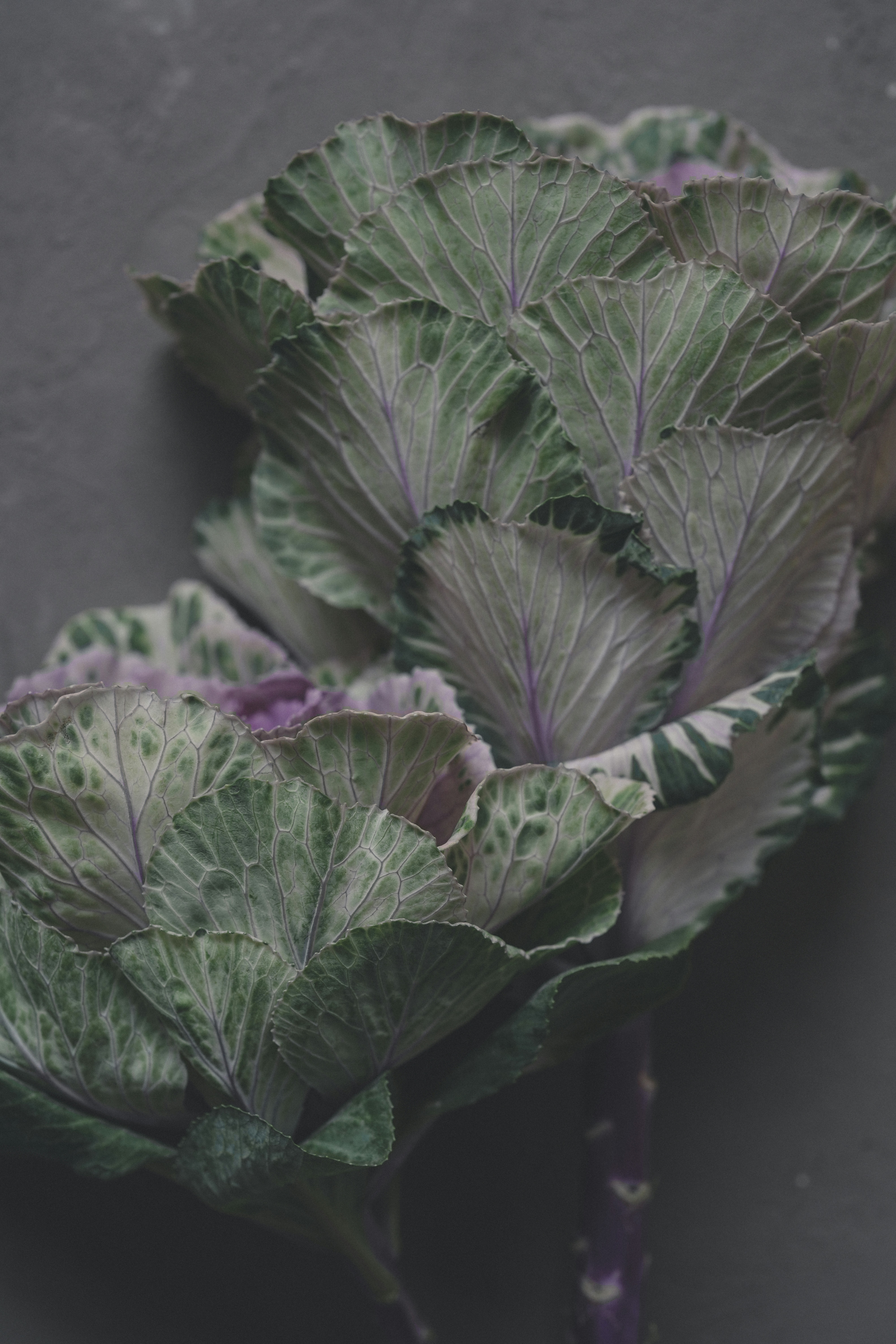 Photo by anyachernykh