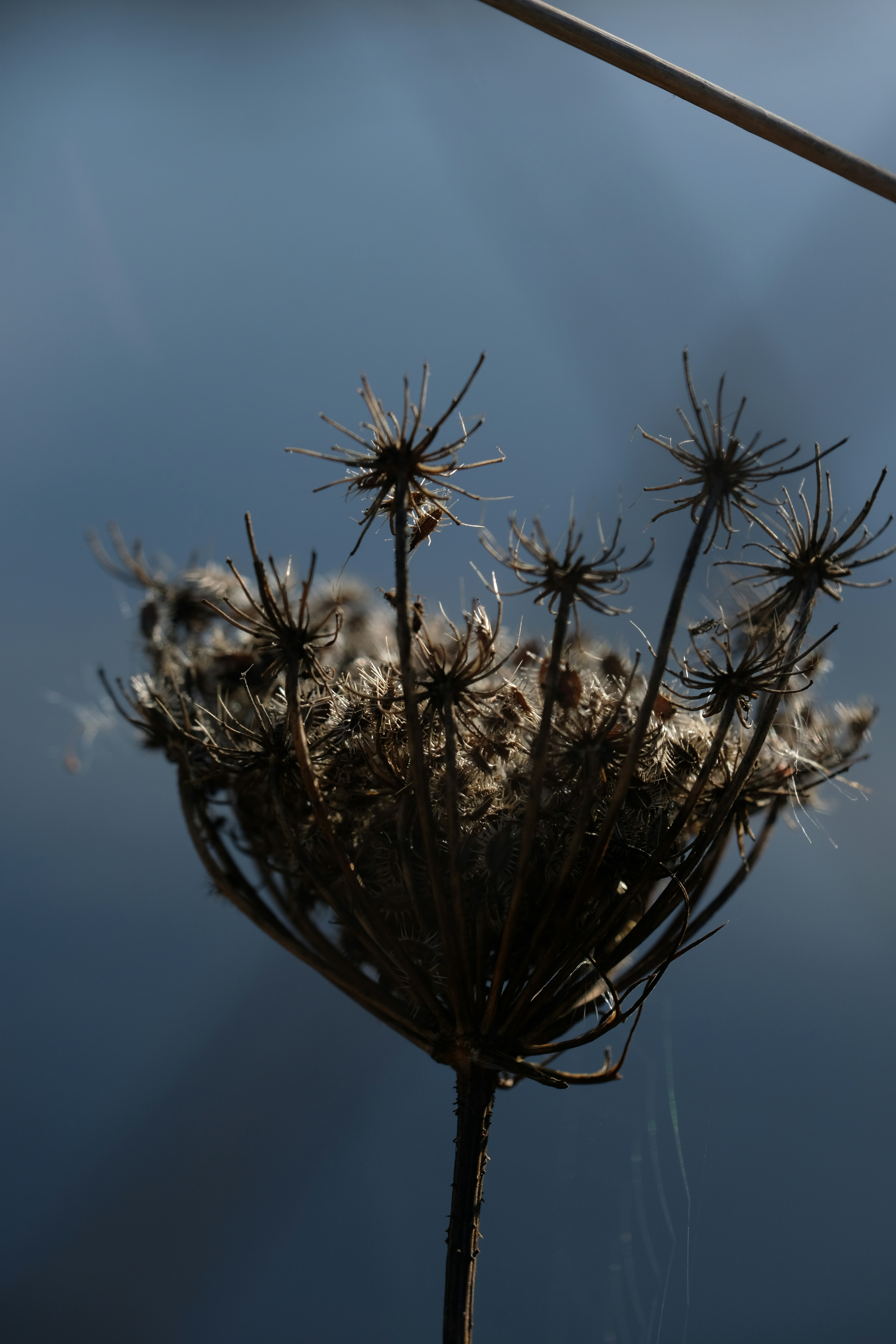 Photo by eedgarivann