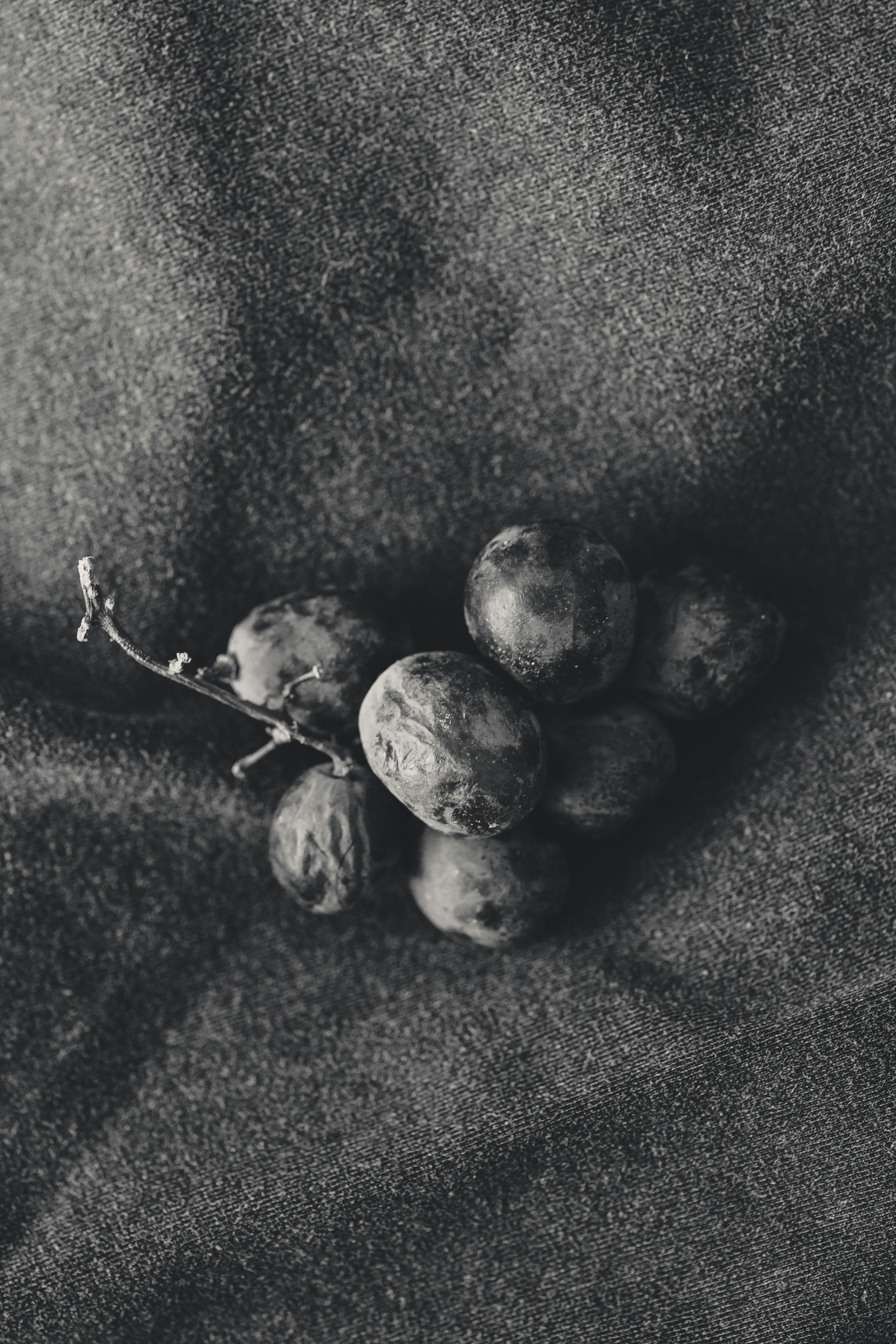 Photo by anyachernykh