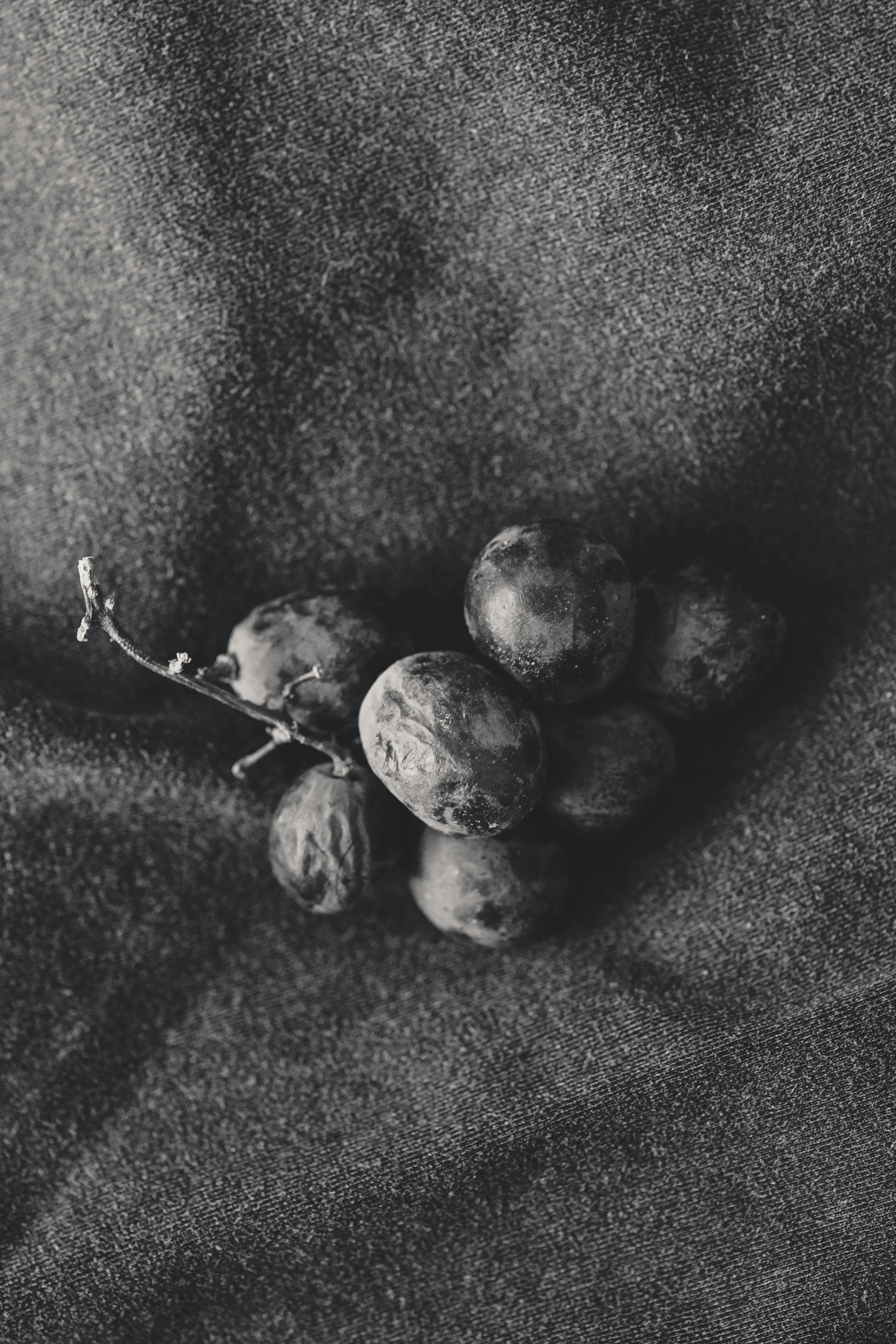 A bunch of grapes rests on a textured surface.