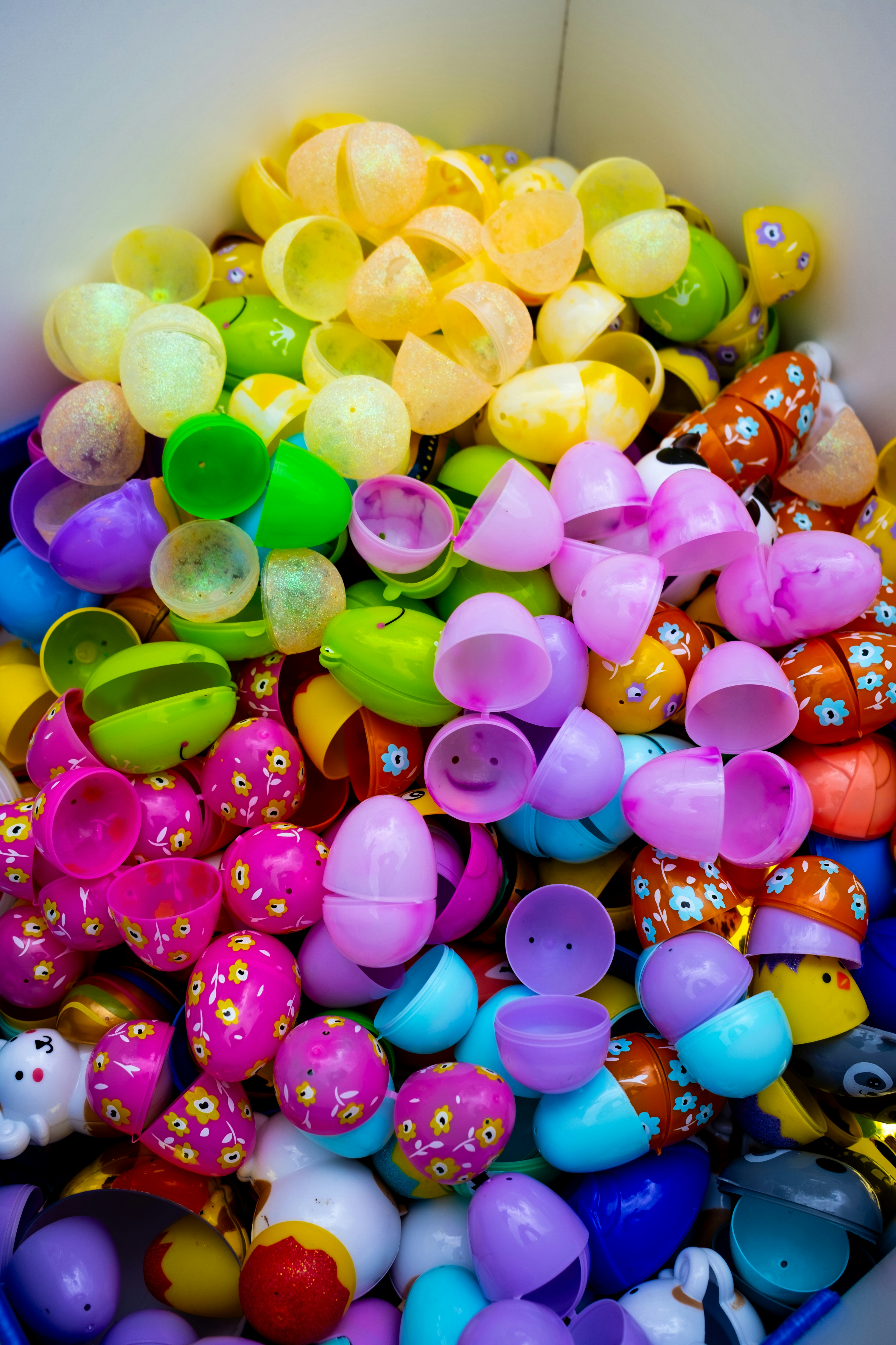 50 North, Senior Activity Event: Eggs!