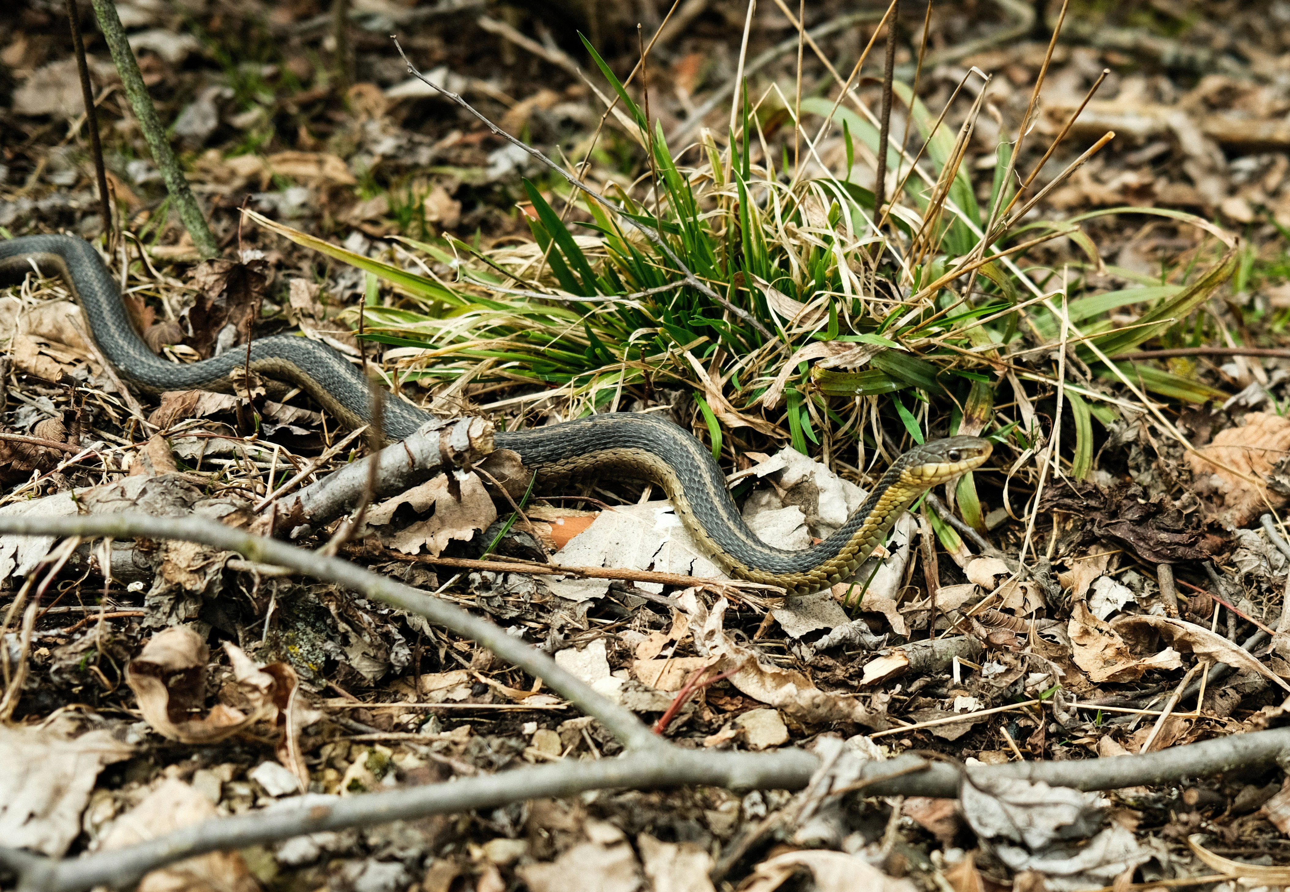 Photo by aliocreative