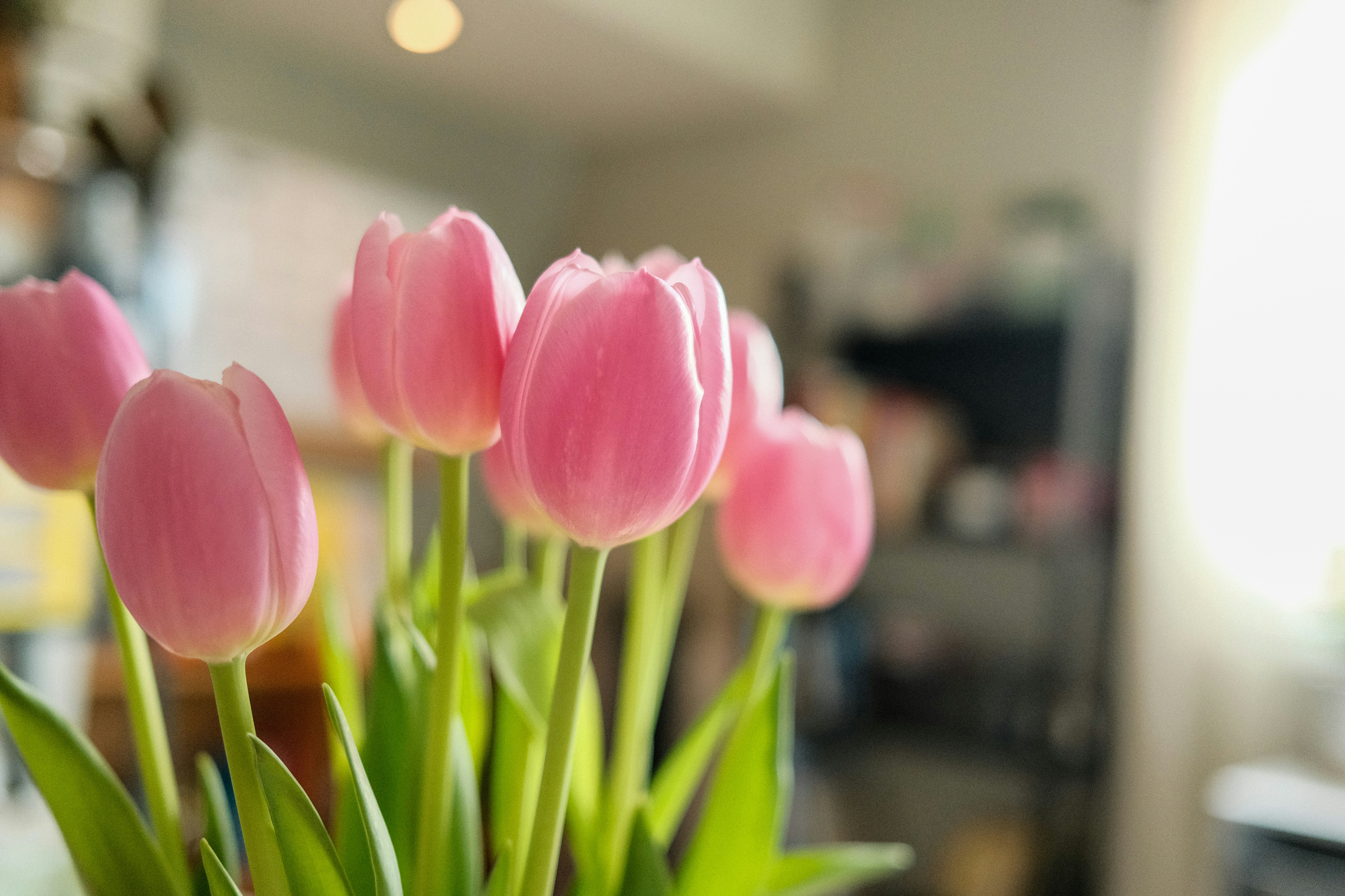 Photo by aliocreative