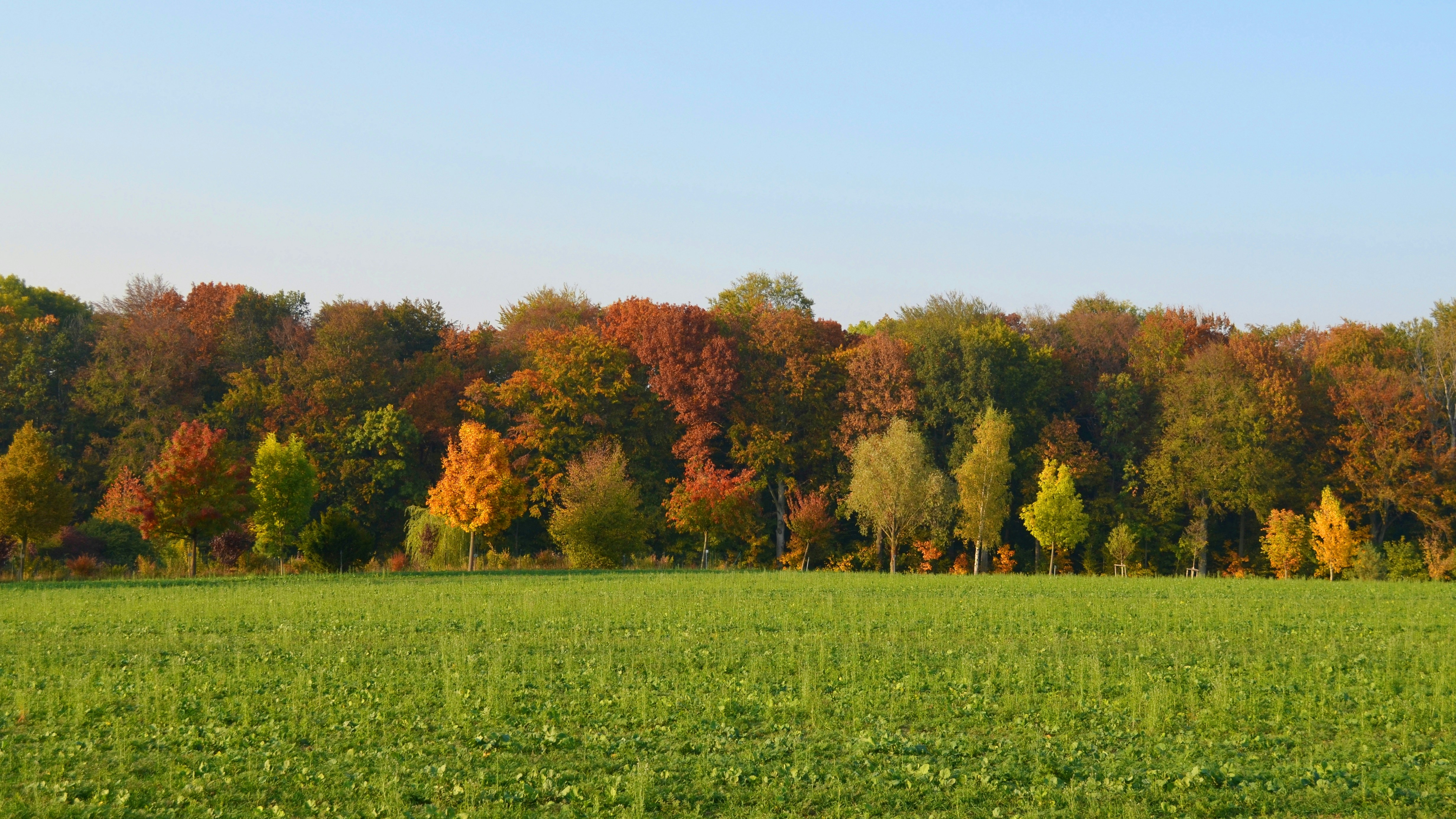 Photo by nikodemus777