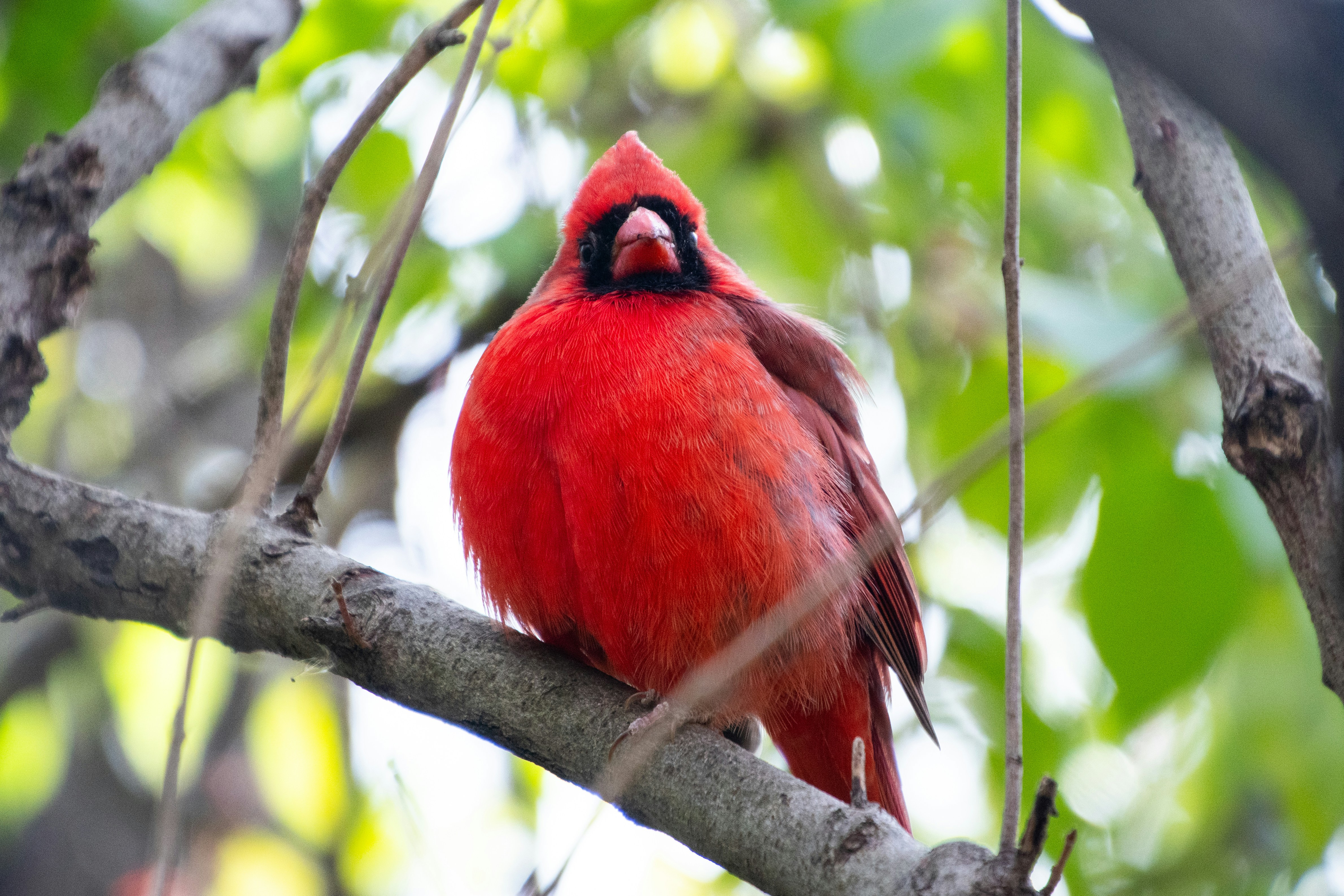 Photo by aliocreative