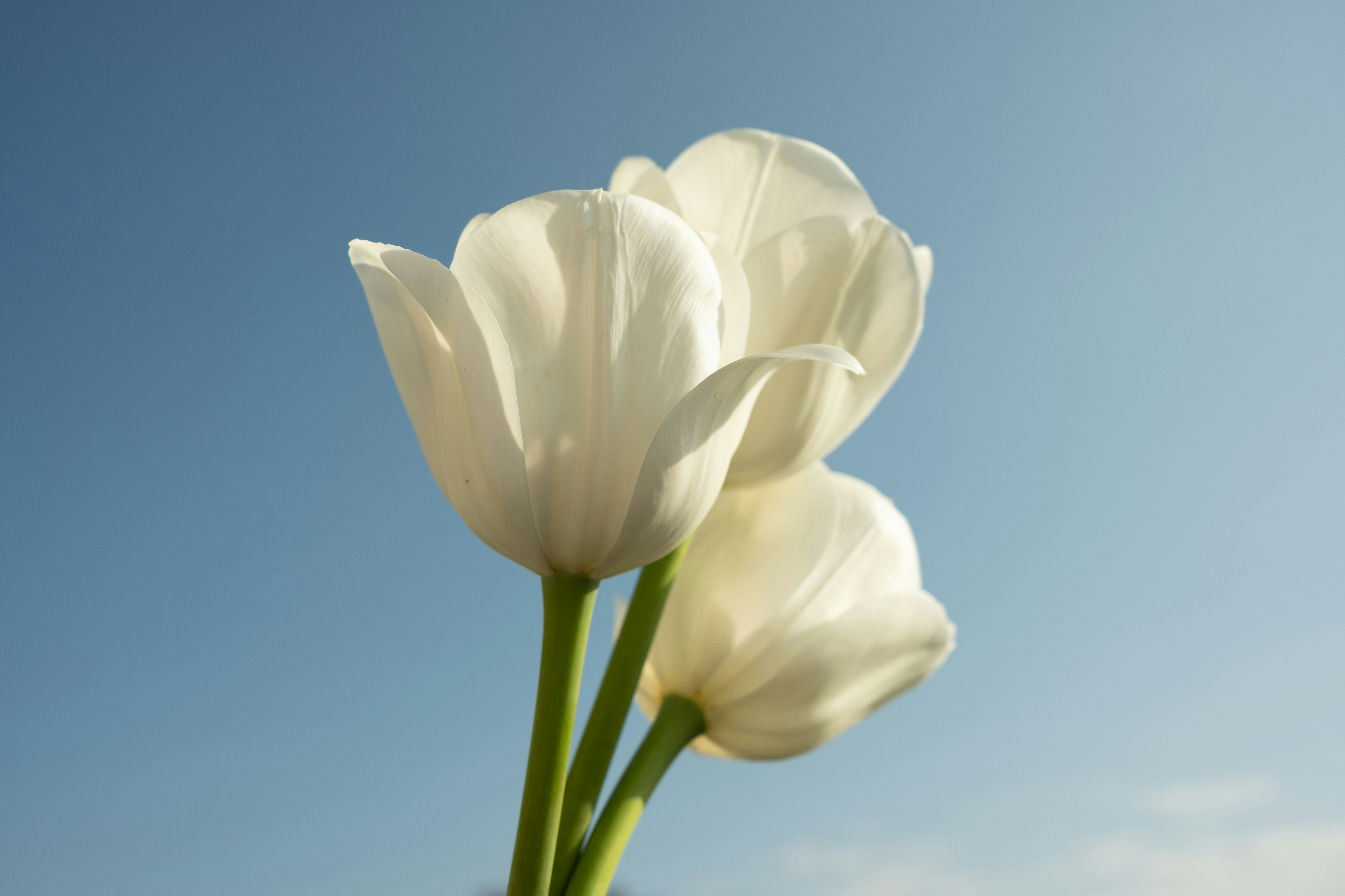 Photo by aliocreative