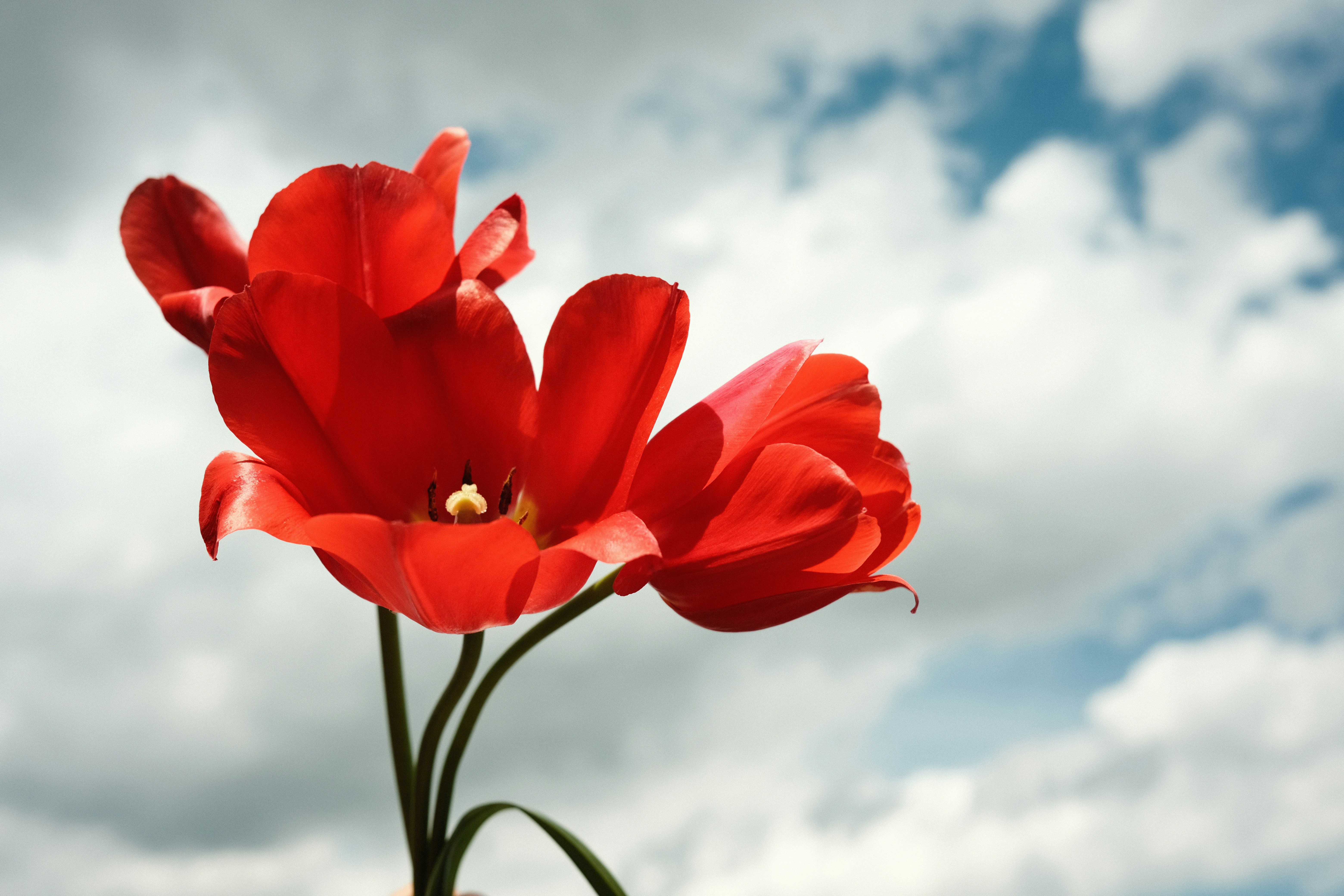 Photo by aliocreative