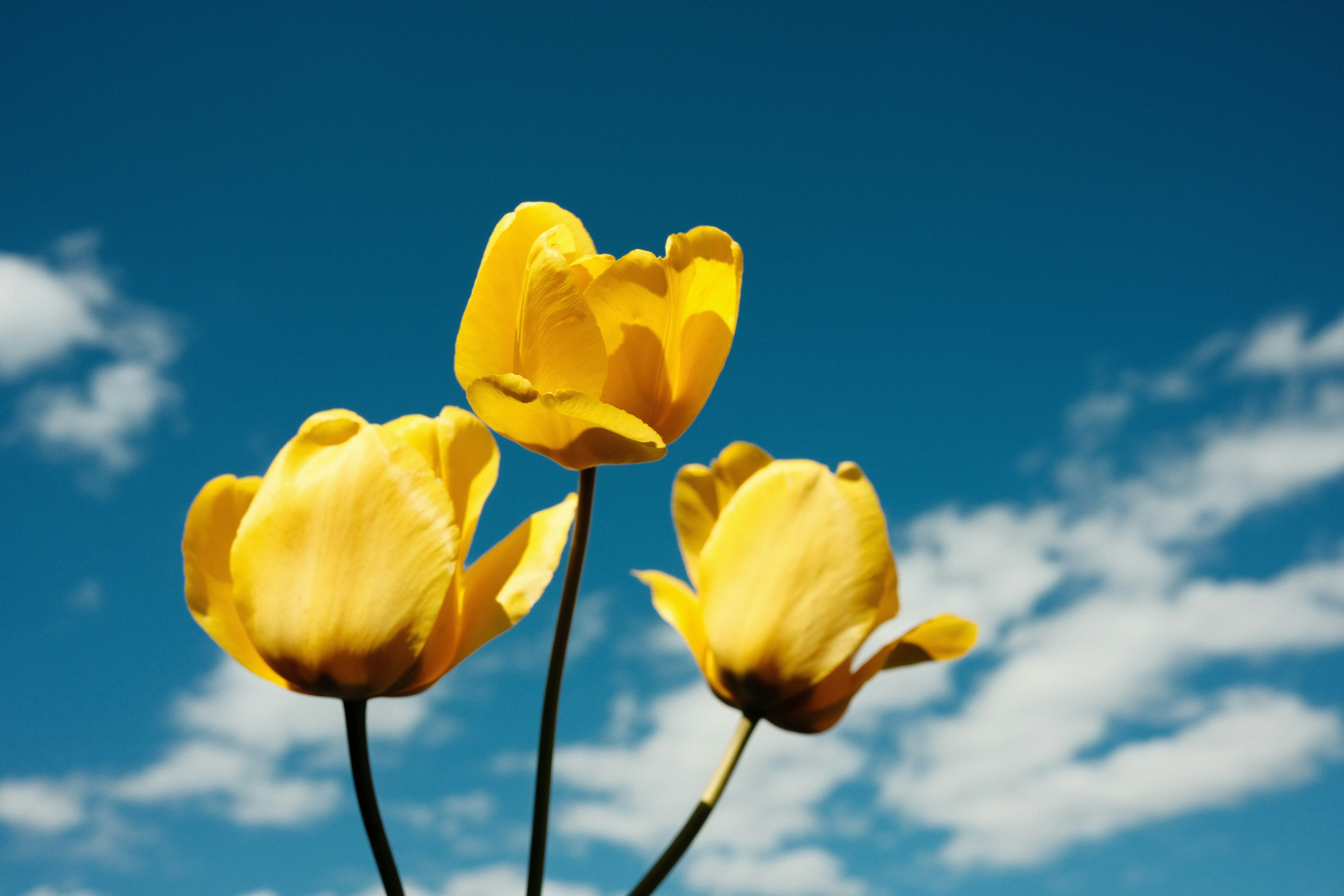 Photo by aliocreative