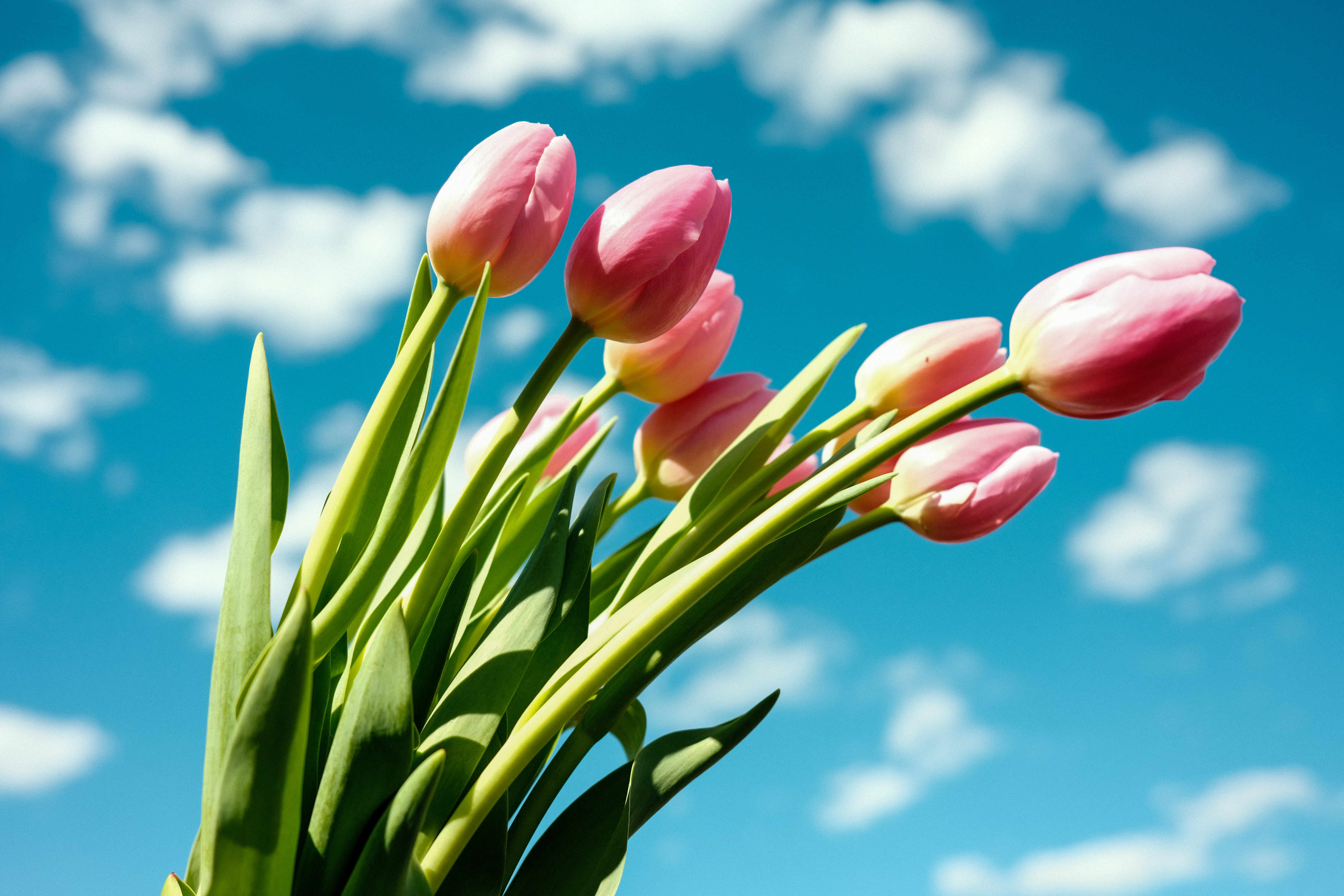 Photo by aliocreative