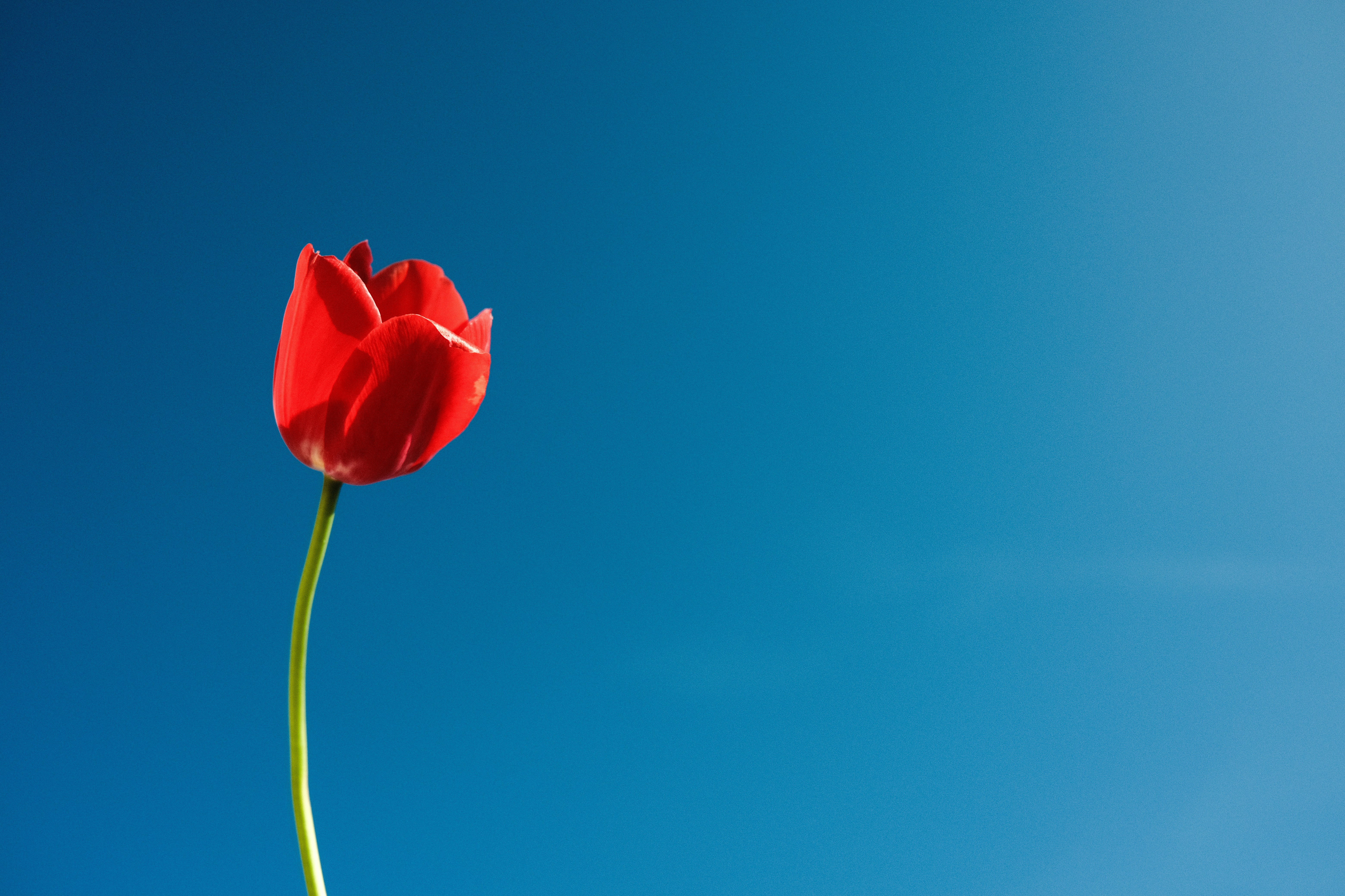 Photo by aliocreative